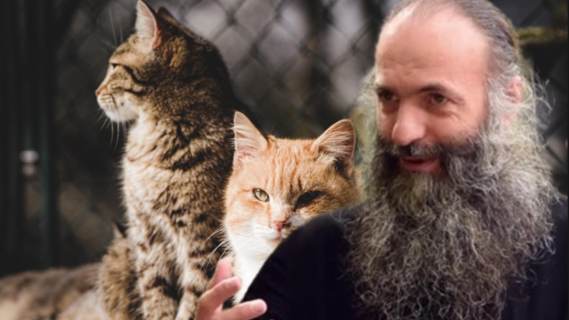 Părintele Pimen Vlad dă de pământ proprietarii de animale