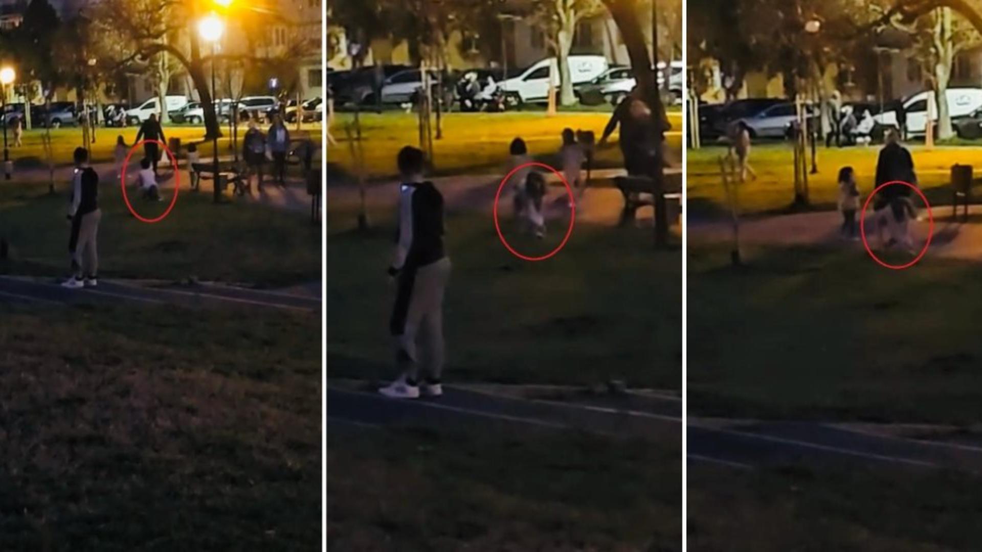 O adolescentă din Arad, costumată în PISICĂ, a atacat un CÂINE. Modă bizară în rândul tinerilor – VIDEO