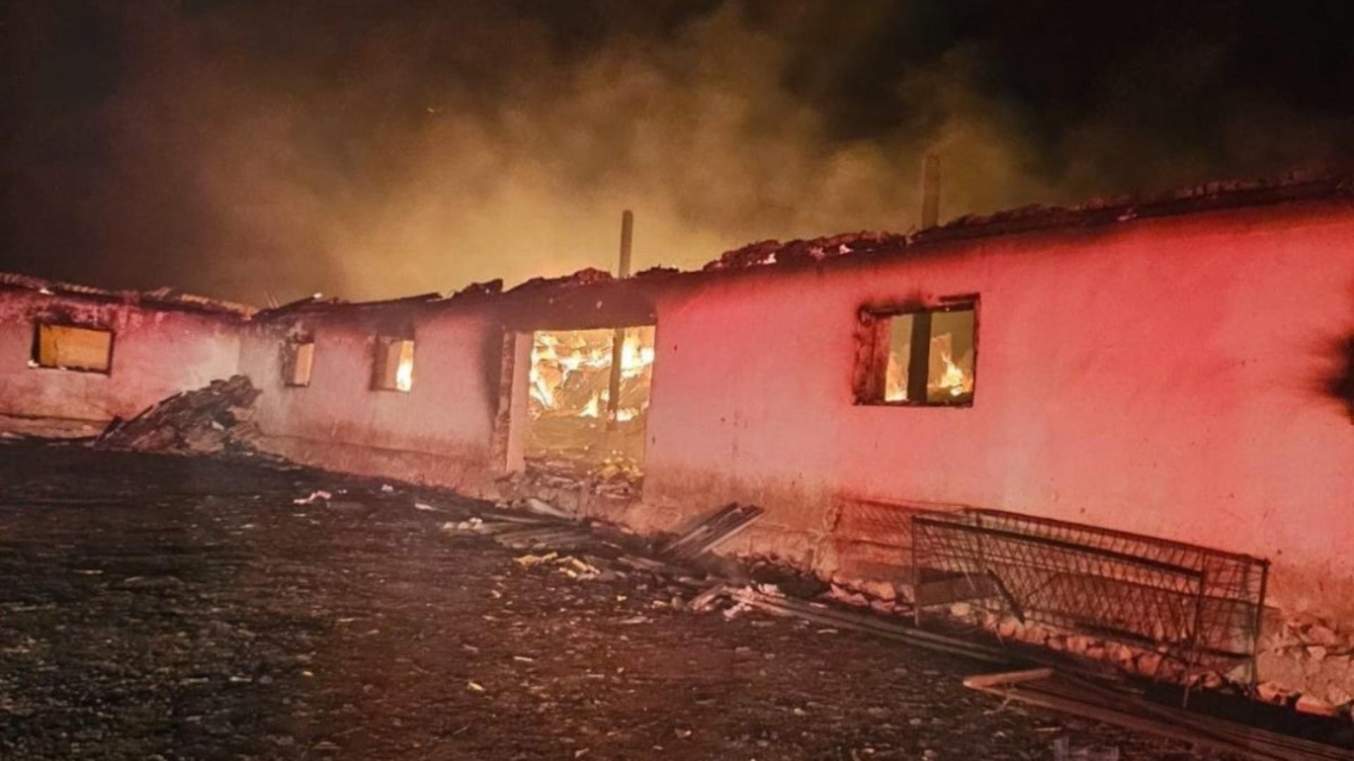 200 de oi au murit într-un incendiu devastator care a distrus un saivan din județul Constanța – FOTO