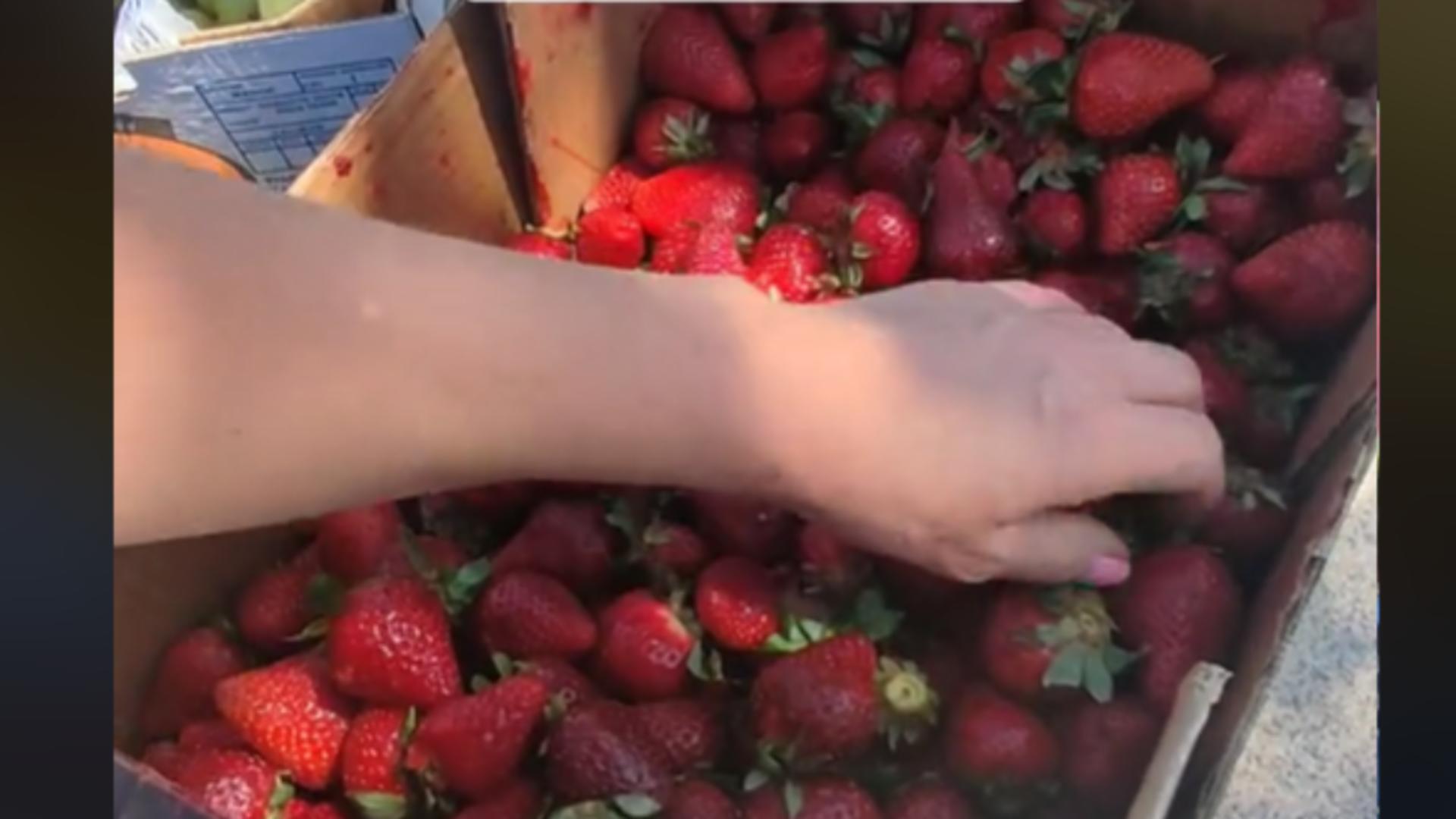 O româncă din Spania, virală pe TikTok. Femeia a dezvăluită că mânăncă și se îmbracă de la gunoi! VIDEO
