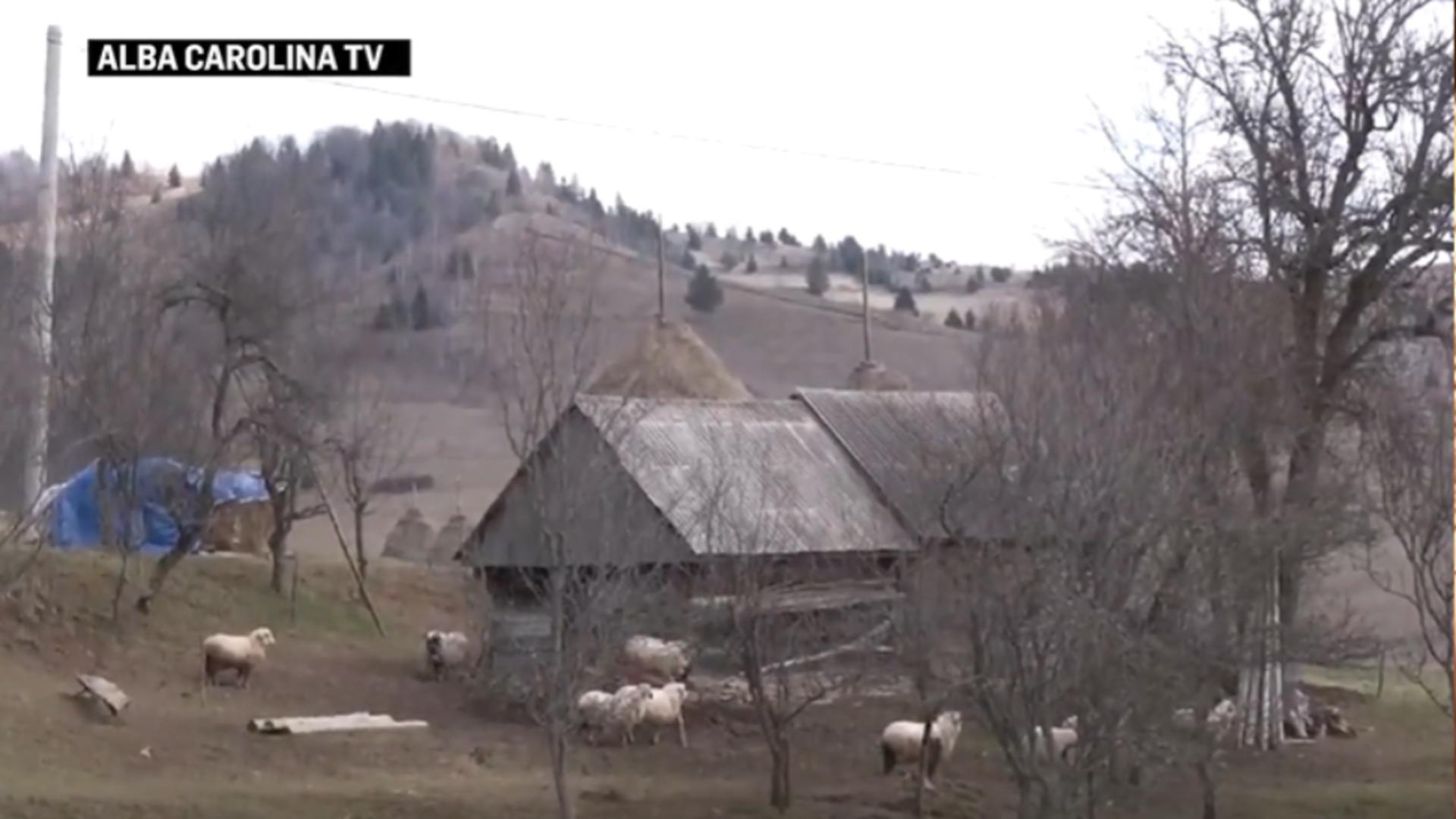 Satul din România cu doar 7 locuitori. Semnal de alarmă disperat al localnicilor: Ne mănâncă sălbăticiunile în scurtă vreme