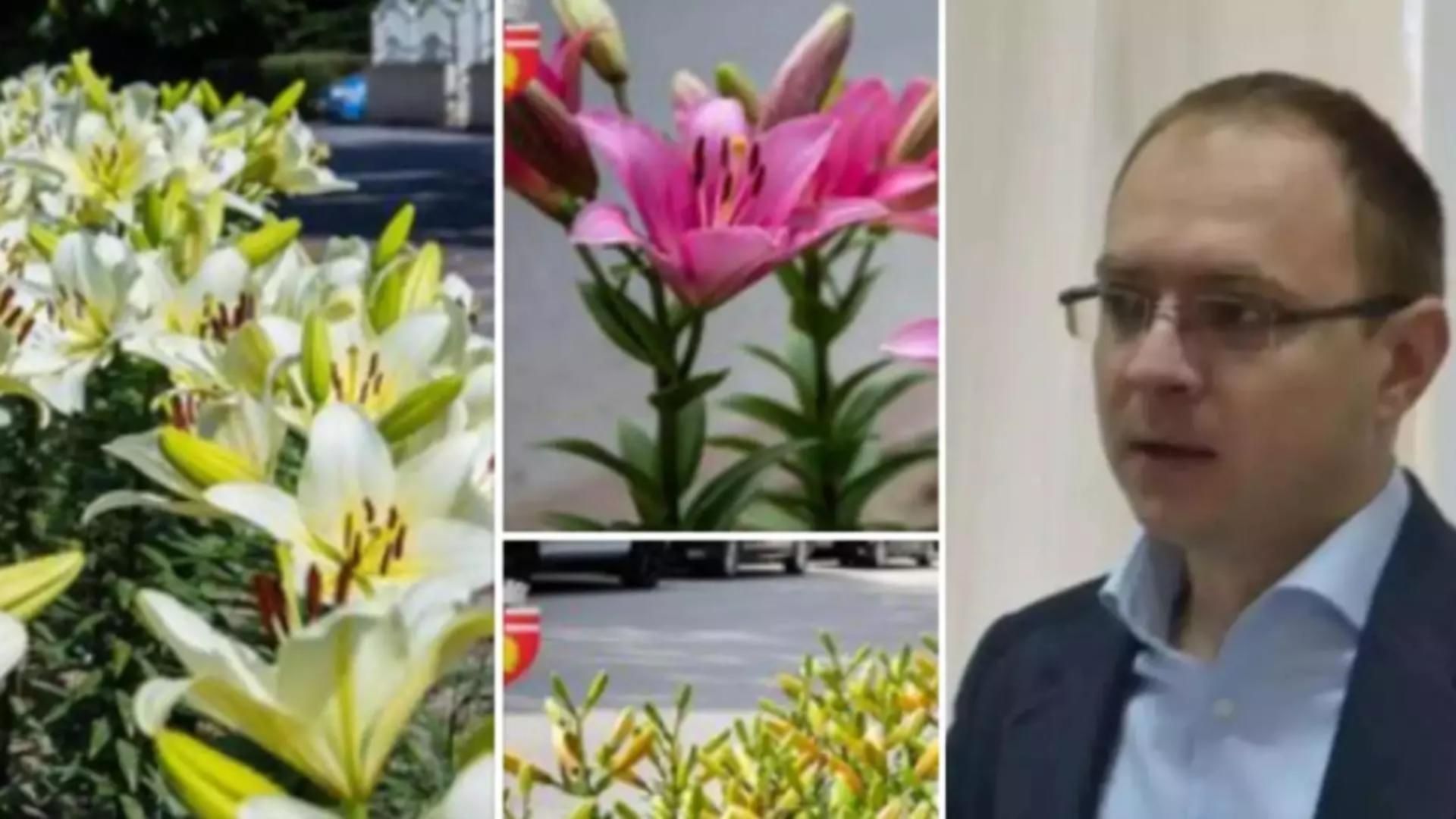 Primarul din Botoșani care a umplut orașul de flori pentru amantă vrea un nou mandat