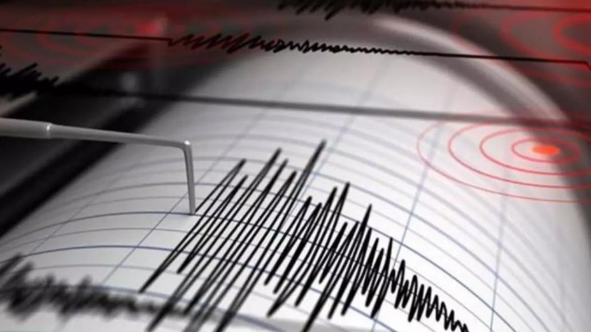 Cutremur în Buzău, în această după amiază