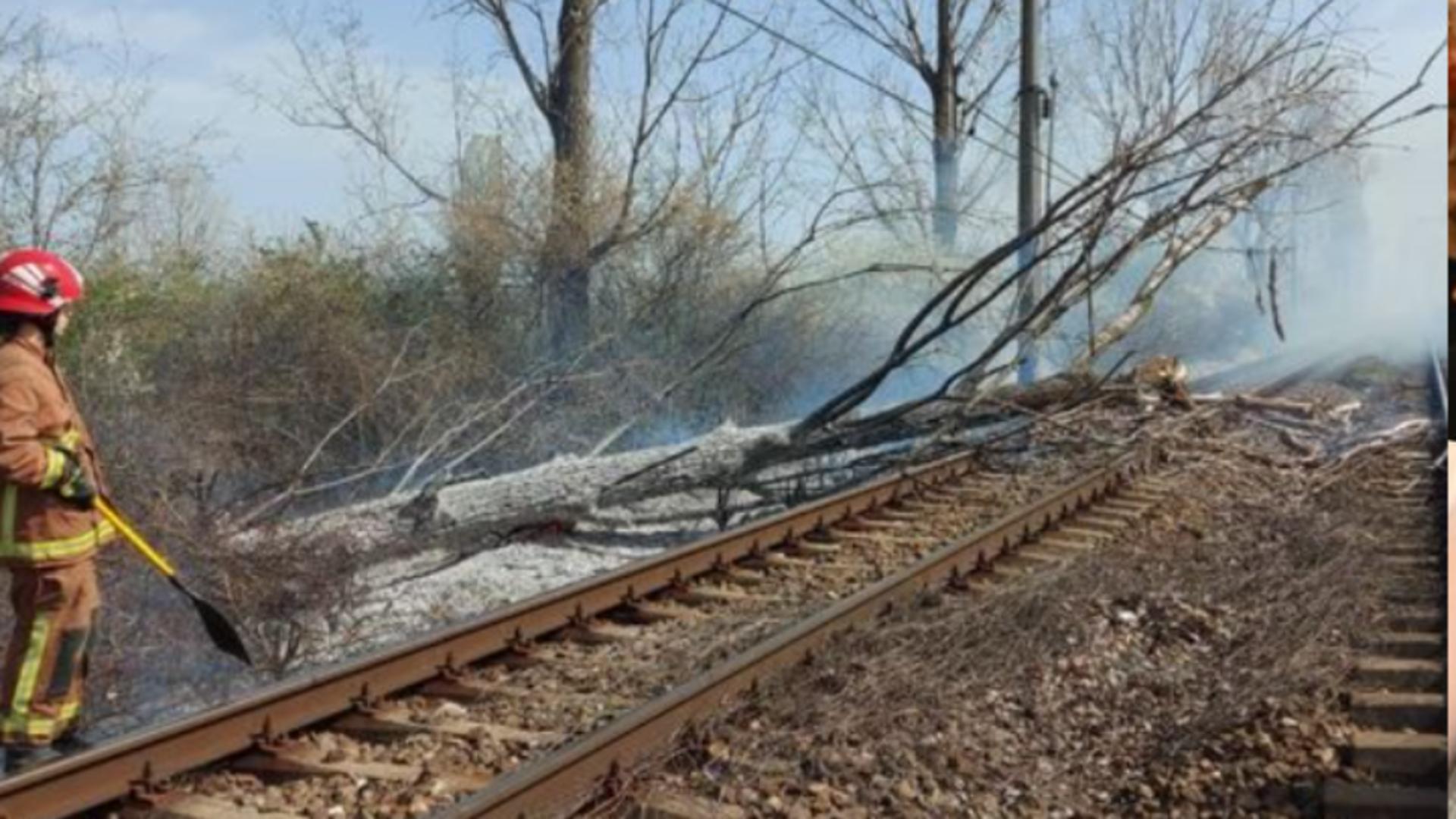 Circulaţie feroviară, oprită temporar între Ploieşti Sud şi Buzău din cauza unui copac căzut pe linie și a unui incendiu izbucnit în apropiere/ Captură foto