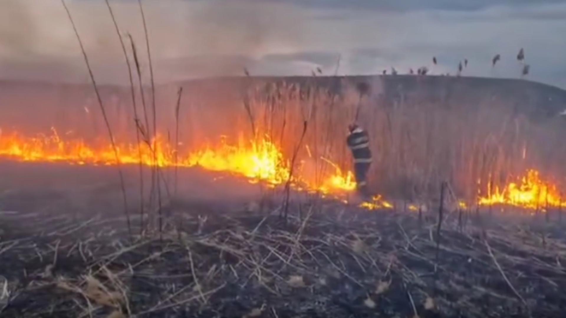 Incendii uriașe de vegetație în Iași. Foto: Facebook