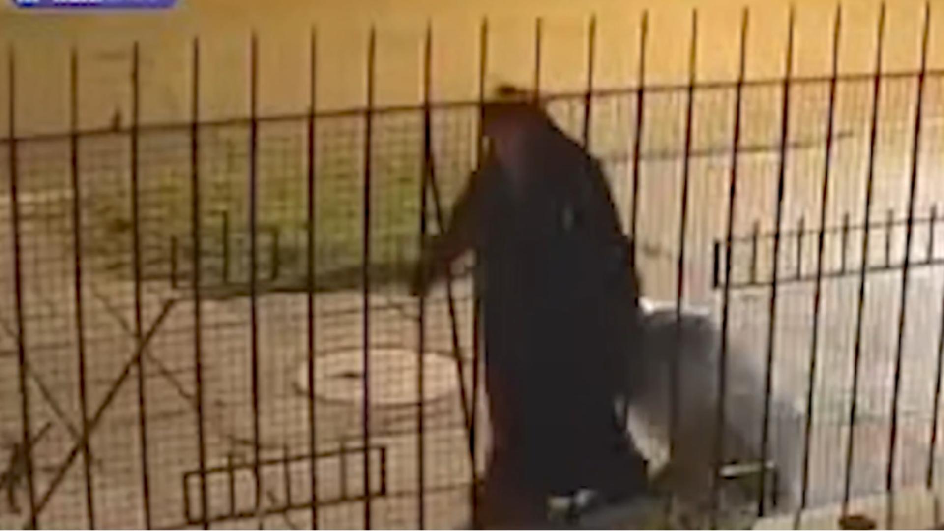 Măicuță filmată în timp ce cară un cadavru în geamantan. Foto: Captură X