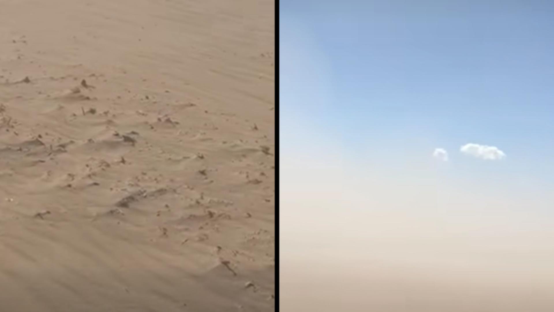 Imaginile din desertul Olteniei par identice cu cele din Sahara (Padurile din Romania)