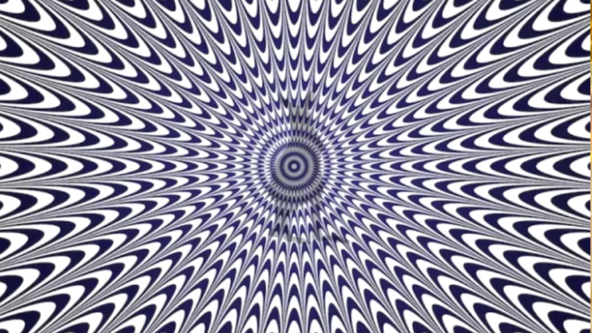 Iluzia optică ce poate crea confuzie totală. Tu reușești să ghicești animalul din imagine: provocarea maximă