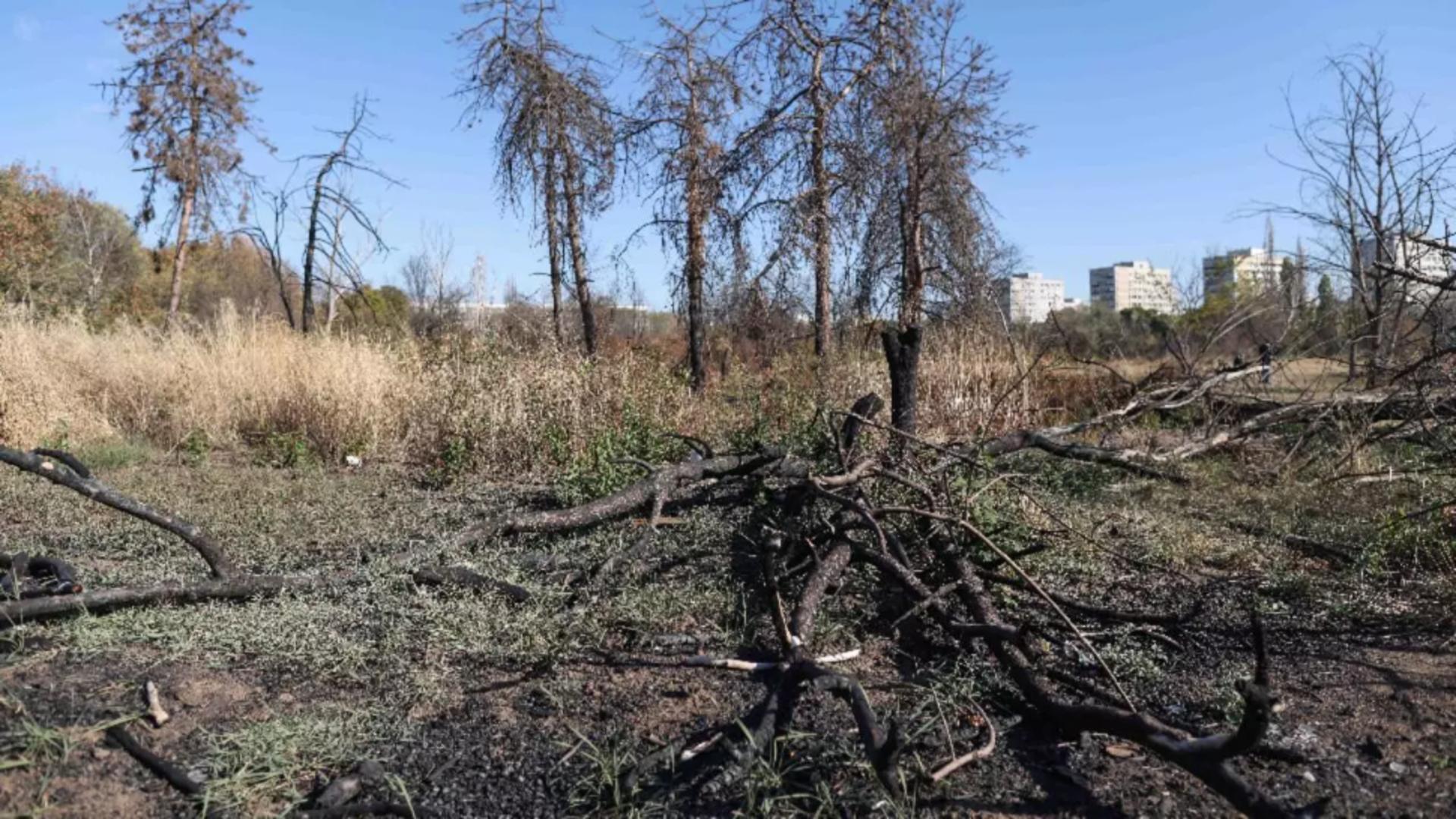 Bătălia pentru recuperarea zonei retrocedate din Parcul IOR se mută în instanță. Foto: Inquam