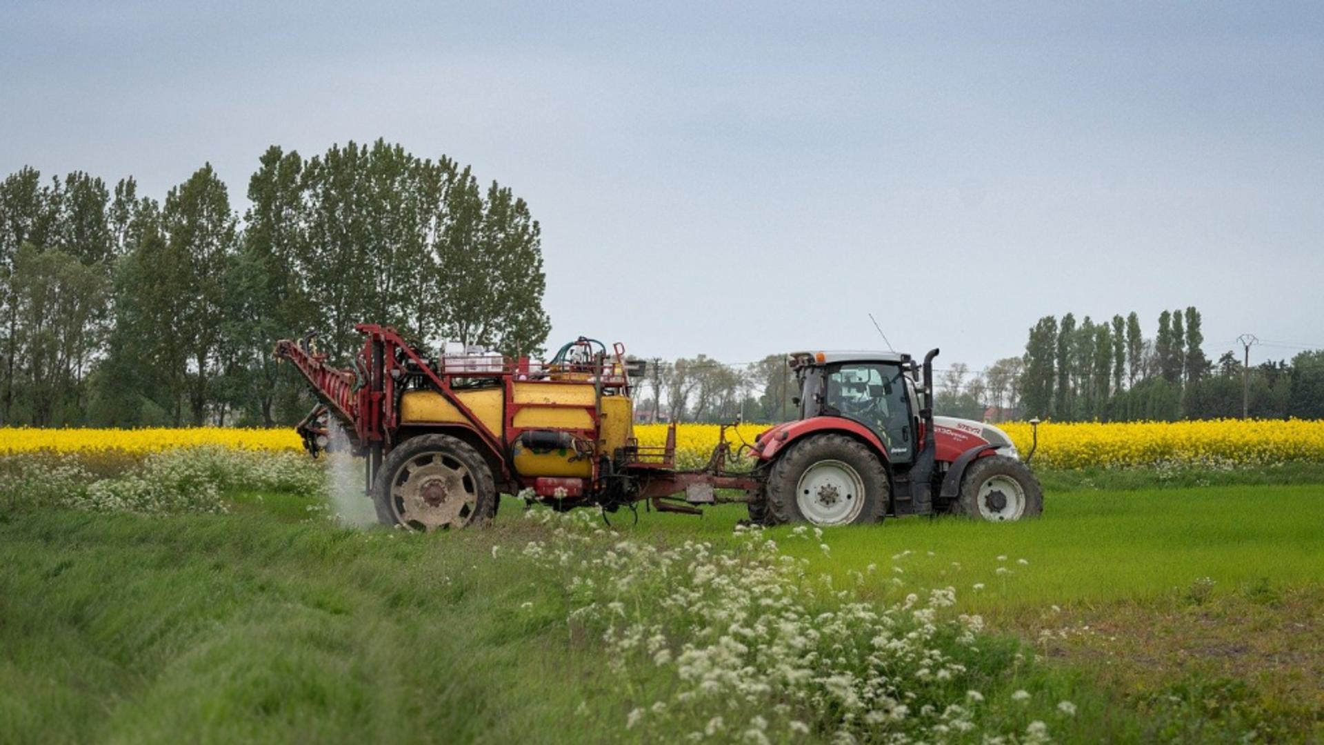 Încălzirea globală schimbă agricultura. Culturi de goji, kiwi și fistic în grădinile românilor