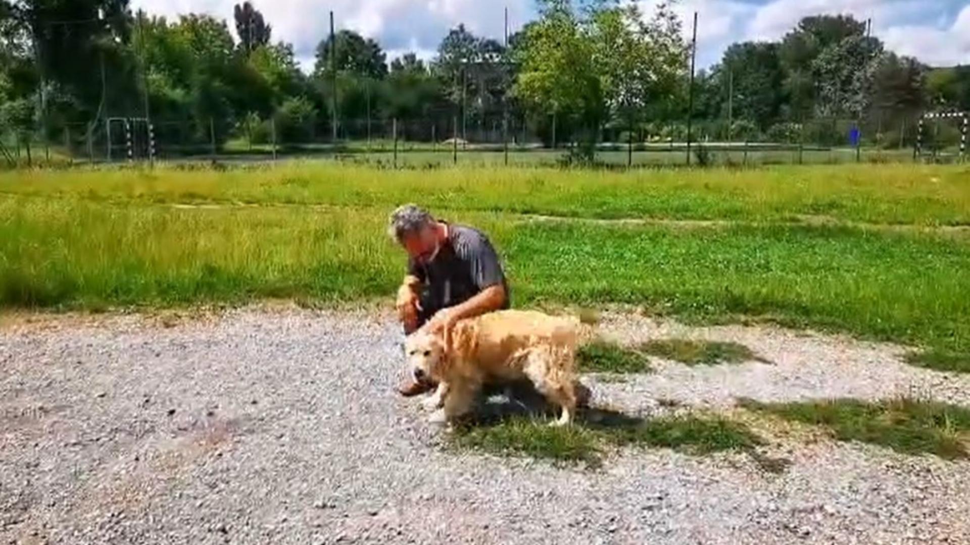 Revedere între câine și stăpân, după 2 ani de despărțire. Foto/Captură video