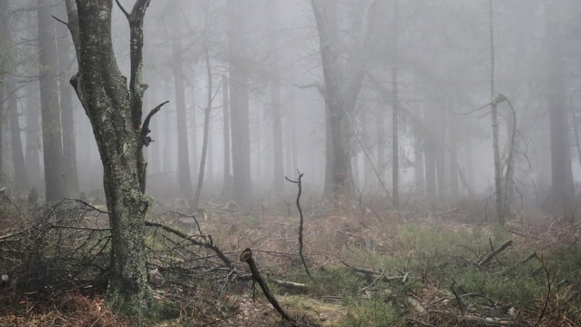 Alertă meteo: cod galben de fenomene periculoase 