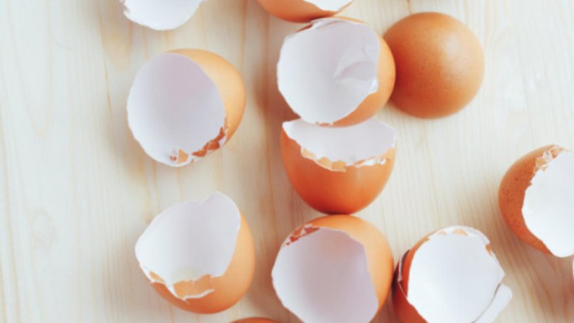 Să nu arunci cojile de la ouăle de Paști! Iată cum pot fi ele folosite