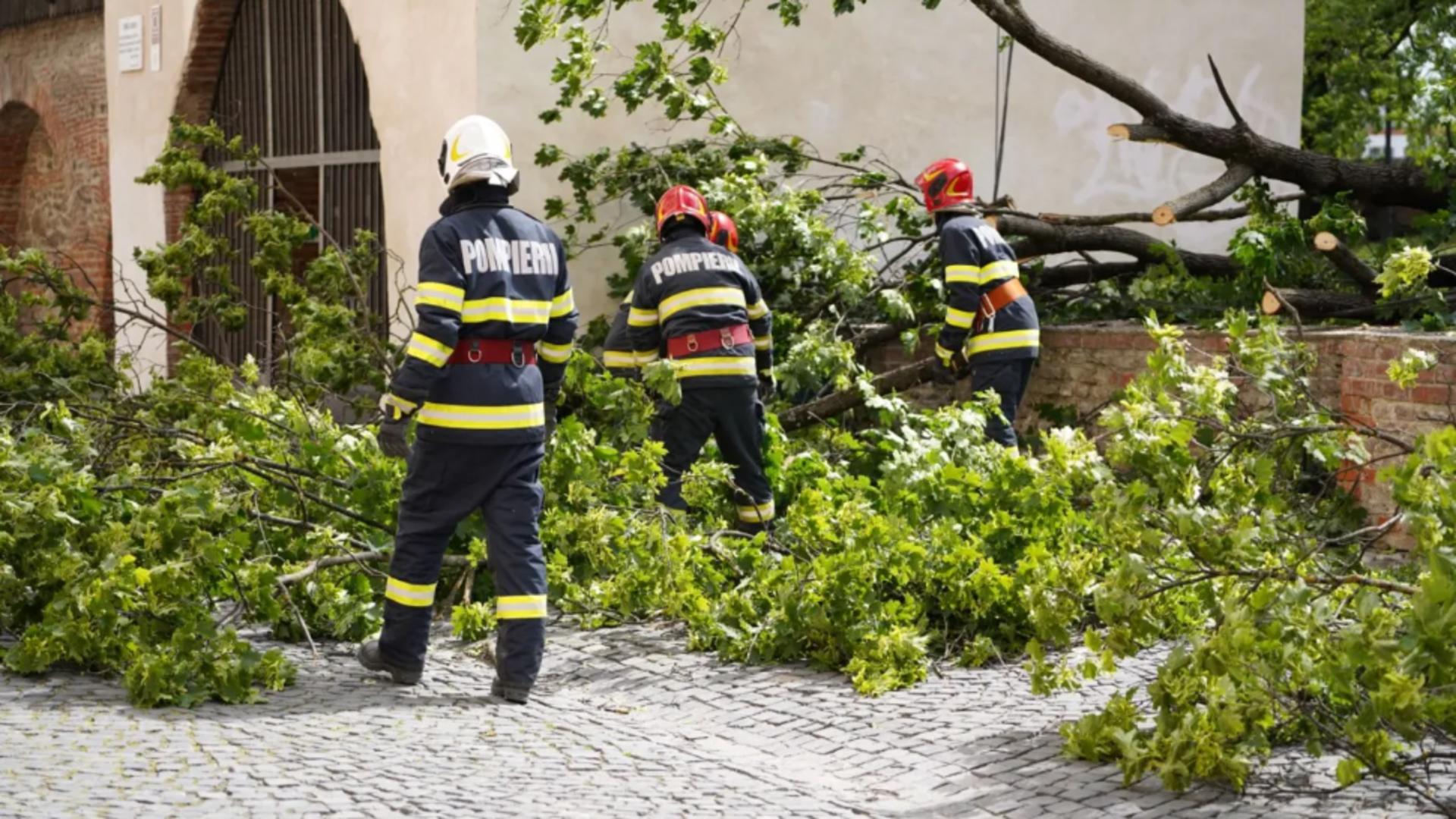 Vremea rea face primele pagube: Mai mulți copaci căzuți și o mașină distrusă la Sibiu