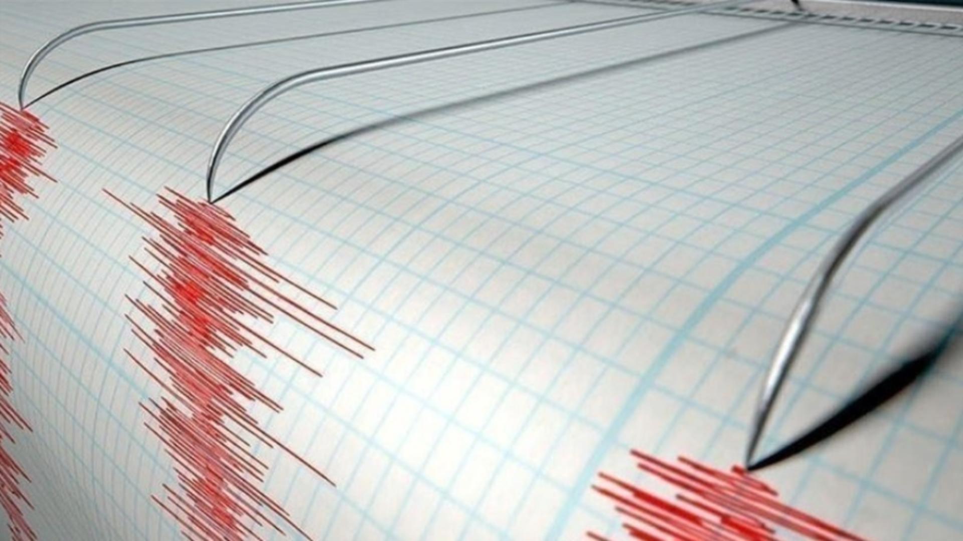 Cutremur in Vrancea