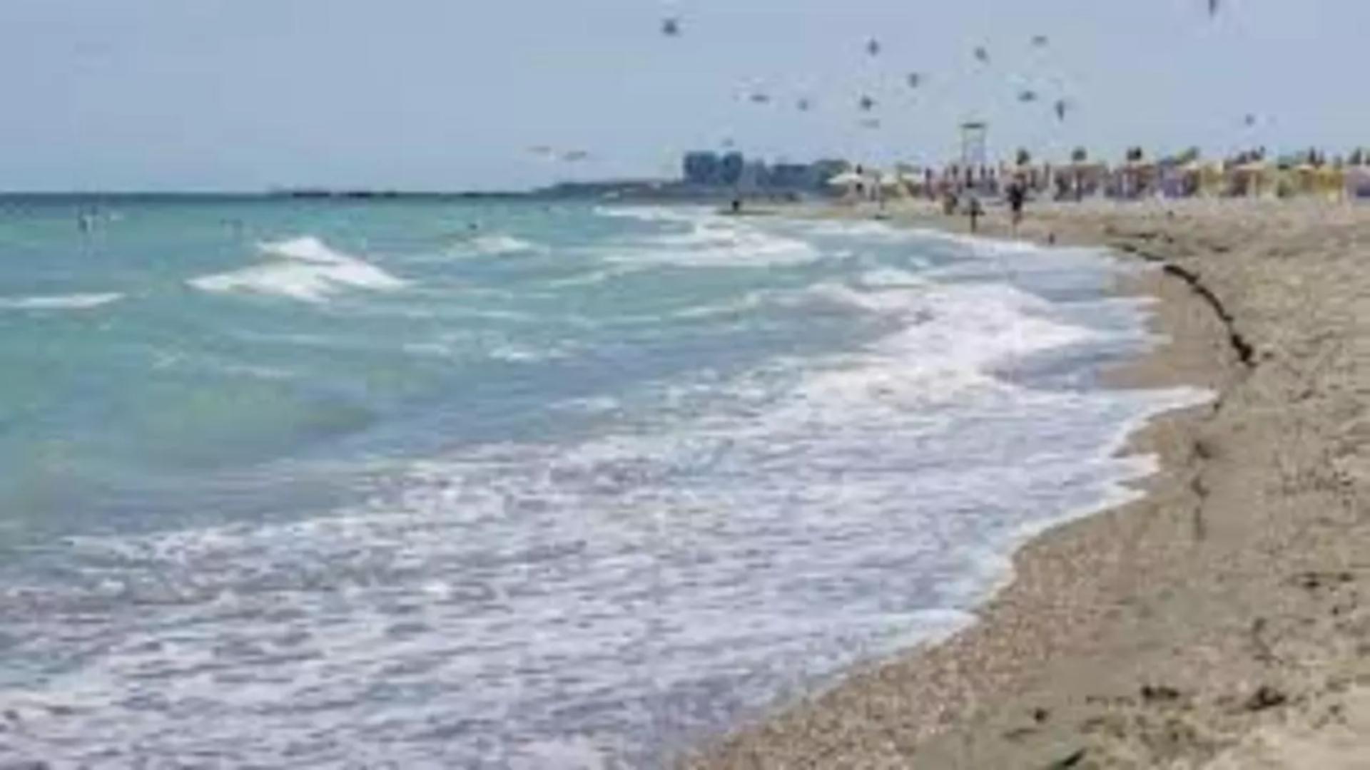 Marea Neagră a fost invadată de o specie periculoasă din cauza războiului cu Ucraina