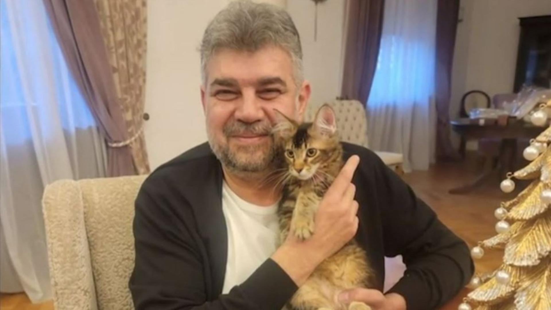 Mihai Tudose „spune din casă” şi povesteşte cum i-a oferit lui Ciolacu o pisică, iar premierul curăţă litiera animalului 