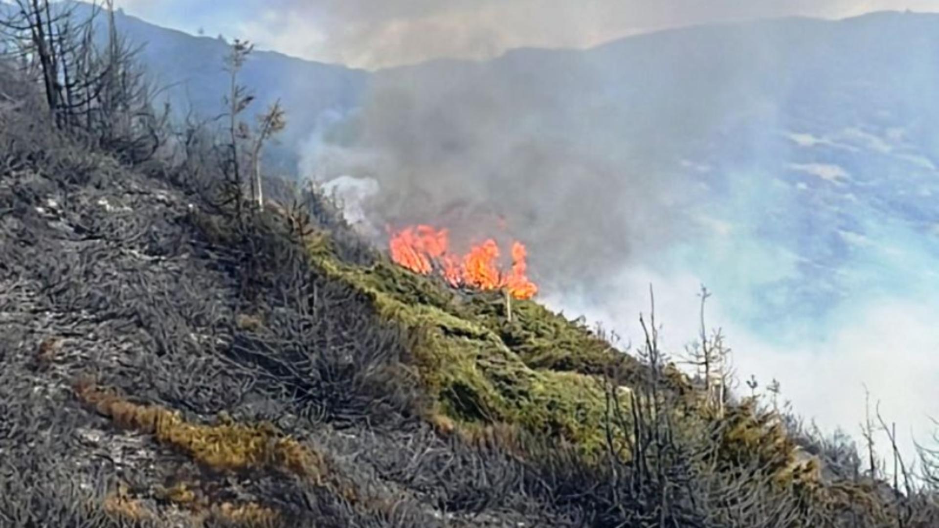 Incendiu devastator în Munții Rodnei. Ard șase hectare de pășuni și pădure