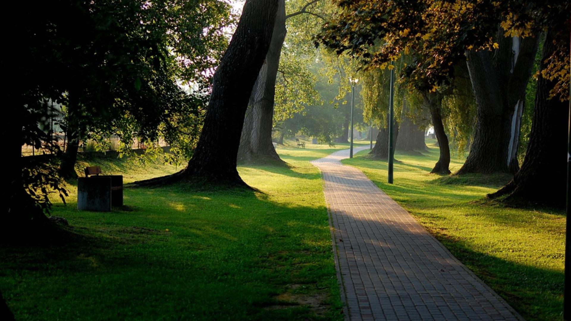 Ce înseamnă dacă locuiești în apropierea unui parc sau loc de joacă. Cât de afectat este creierul