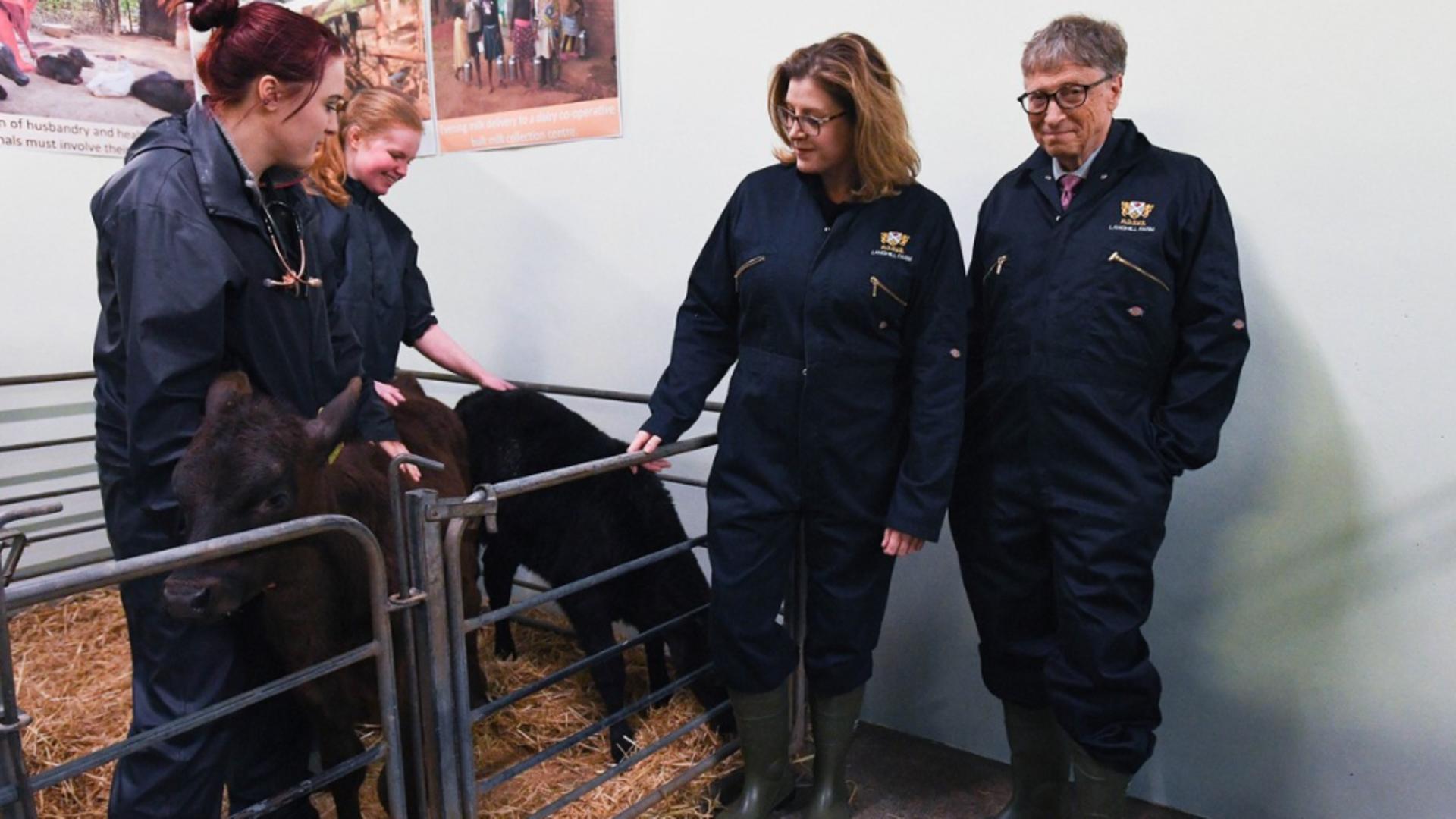 Bill Gates, în timpul unei vizite la o fermă din Scoția. Foto: Profimedia