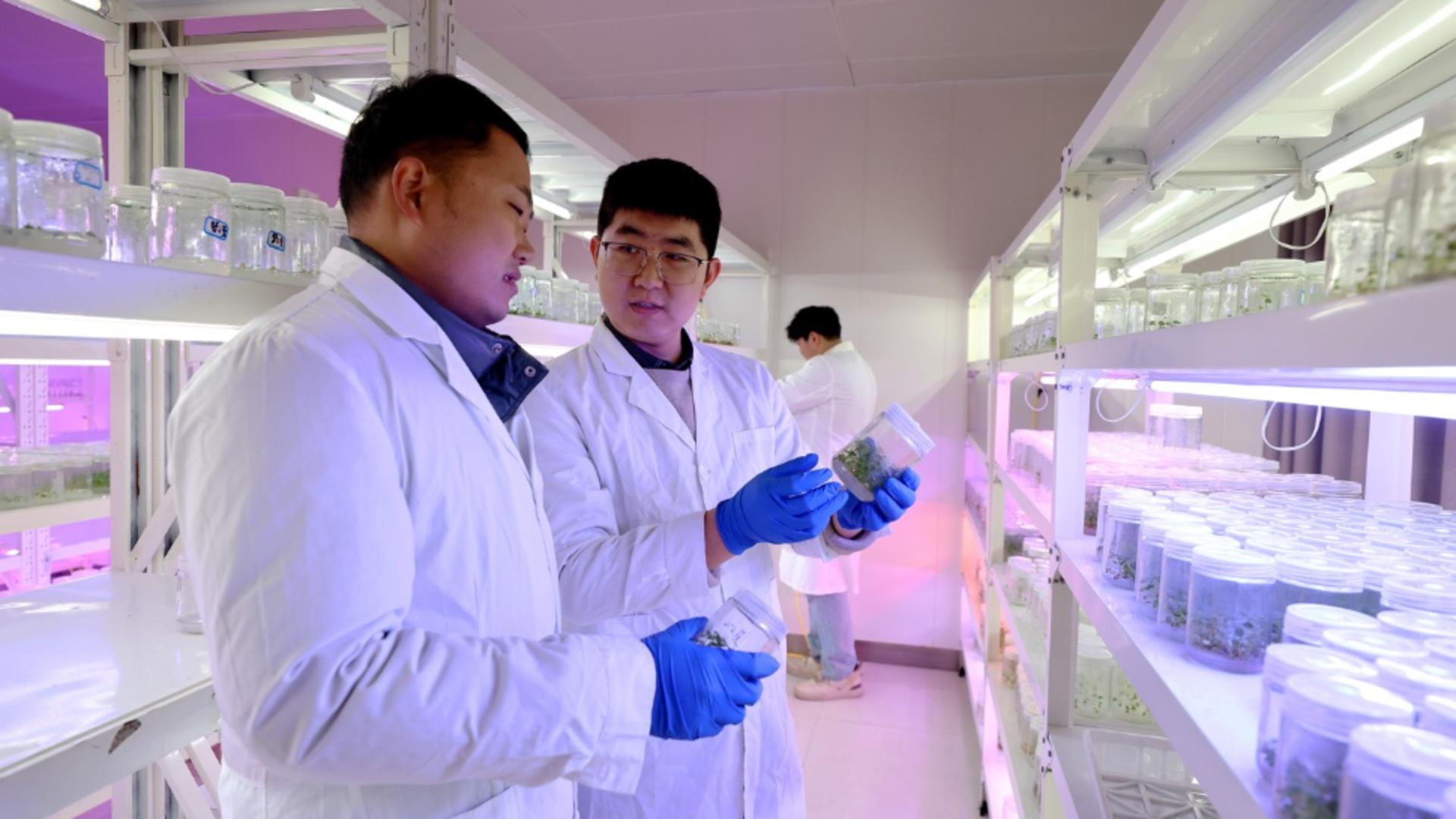 Specialiștii chinezi spun că descoperirea lor va ajuta la combaterea Ebola (Profimedia)