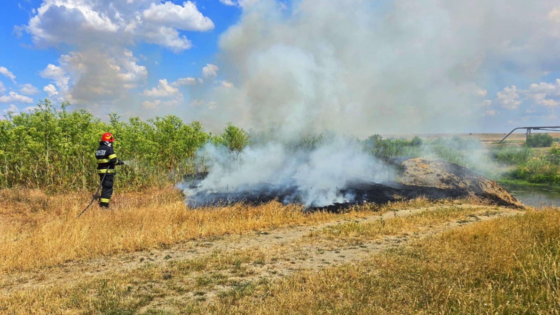 Șapte incendii de vegetație în Giurgiu. Autoritățile au intervenit de urgență