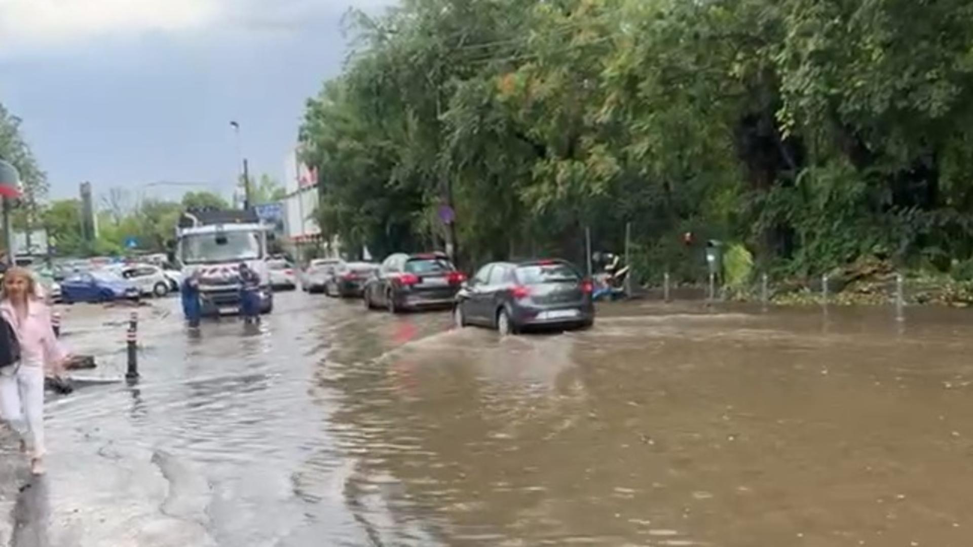 Prăpăd în București în urma fenomenelor meteo: copaci căzuți, case și străzi INUNDATE