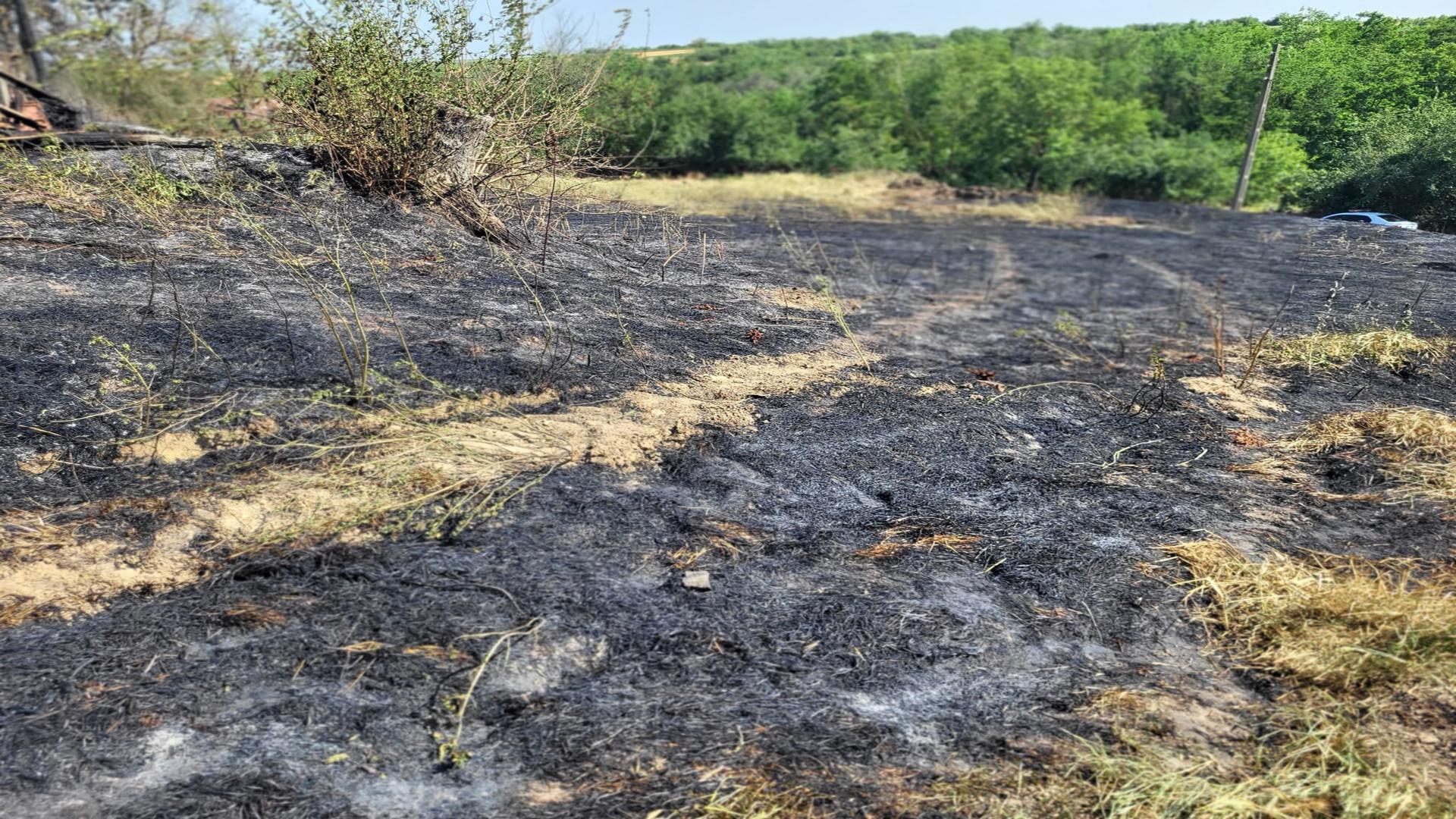 Incendiu uriaș, la Vaslui! Au ars 12 hectare de grâu şi 20 de hectare de vegetaţie uscată şi literă