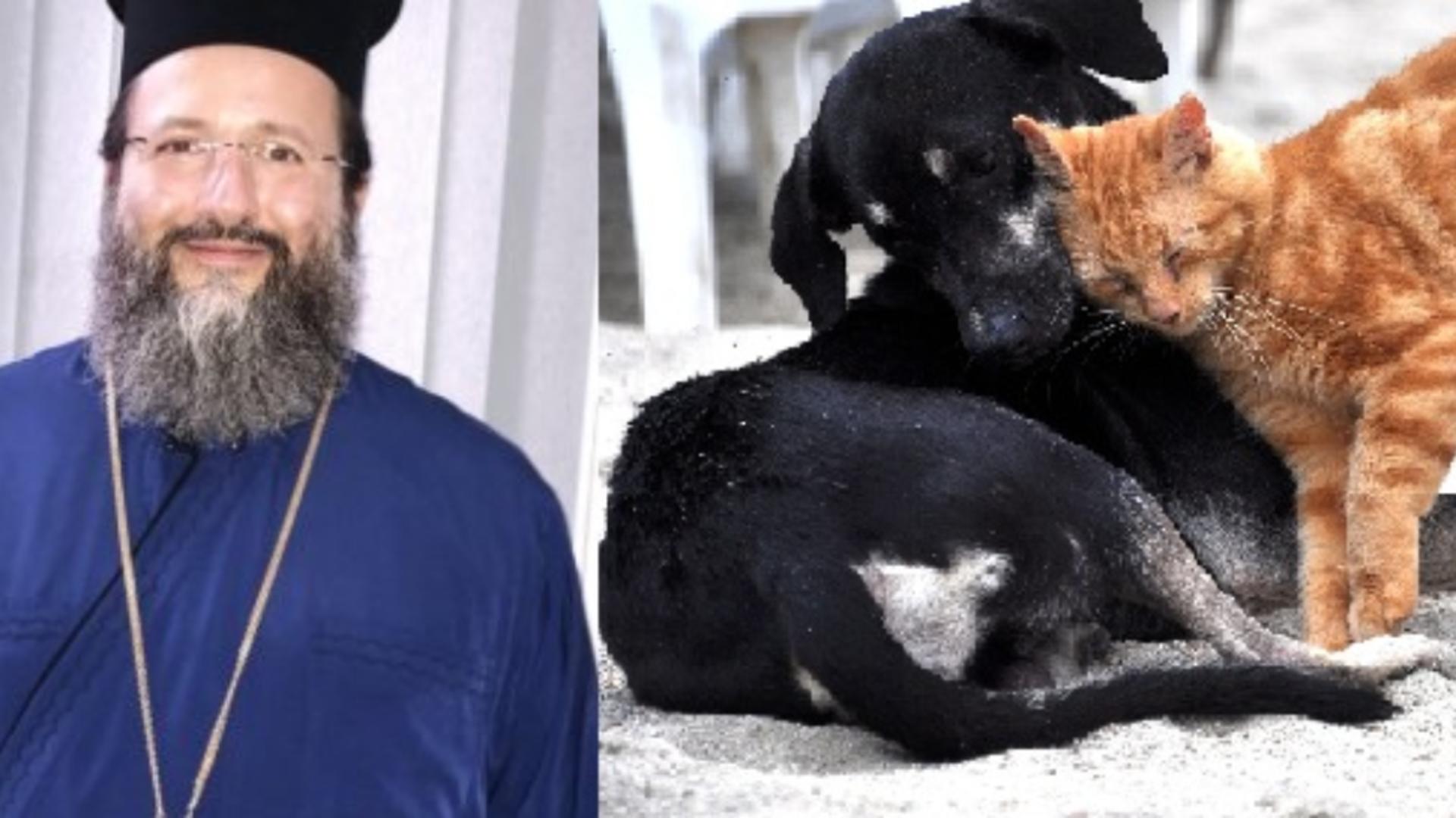 Preotul Matei Vulcănescu, despre proprietarii de animale de companie