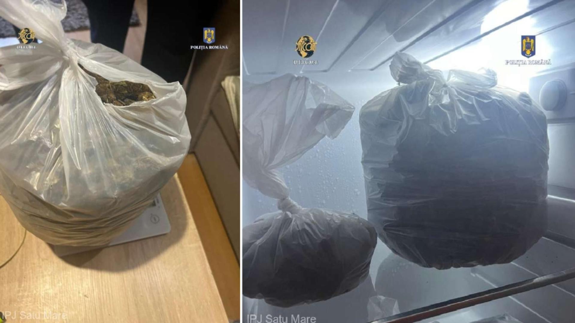 Două persoane, arestate după ce au vândut peste 1 kg de canabis Foto: Agerpres