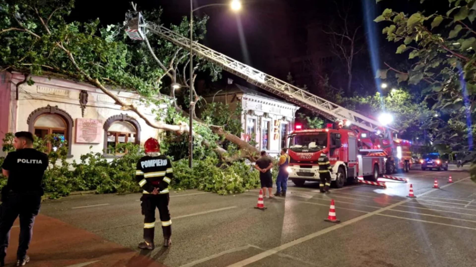 Incident grav, în Dorobanți: un copac s-a prăbușit peste o cofetărie