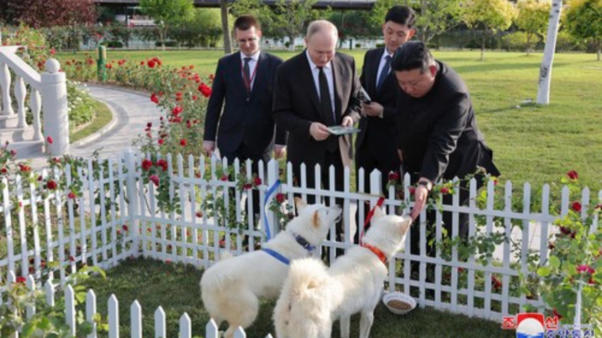 Kim Jong Un i-a dăruit lui Vladimir Putin doi câini de vânătoare. Foto: Profimedia