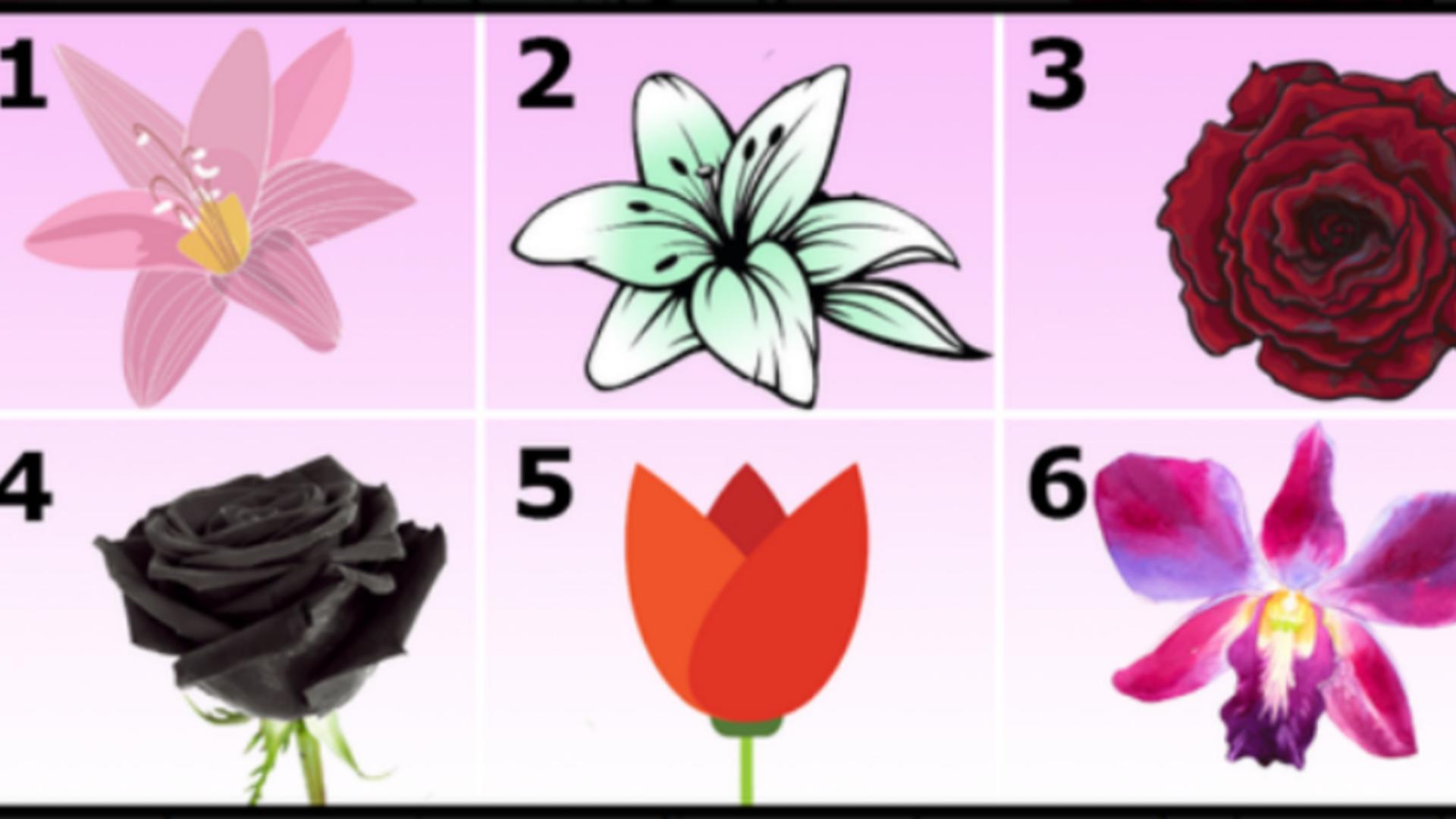 Fă-ți acest test psihologic pentru a te cunoaște mai bine: floarea pe care o alegi trădează adevăruri dureroase. Ai curaj?