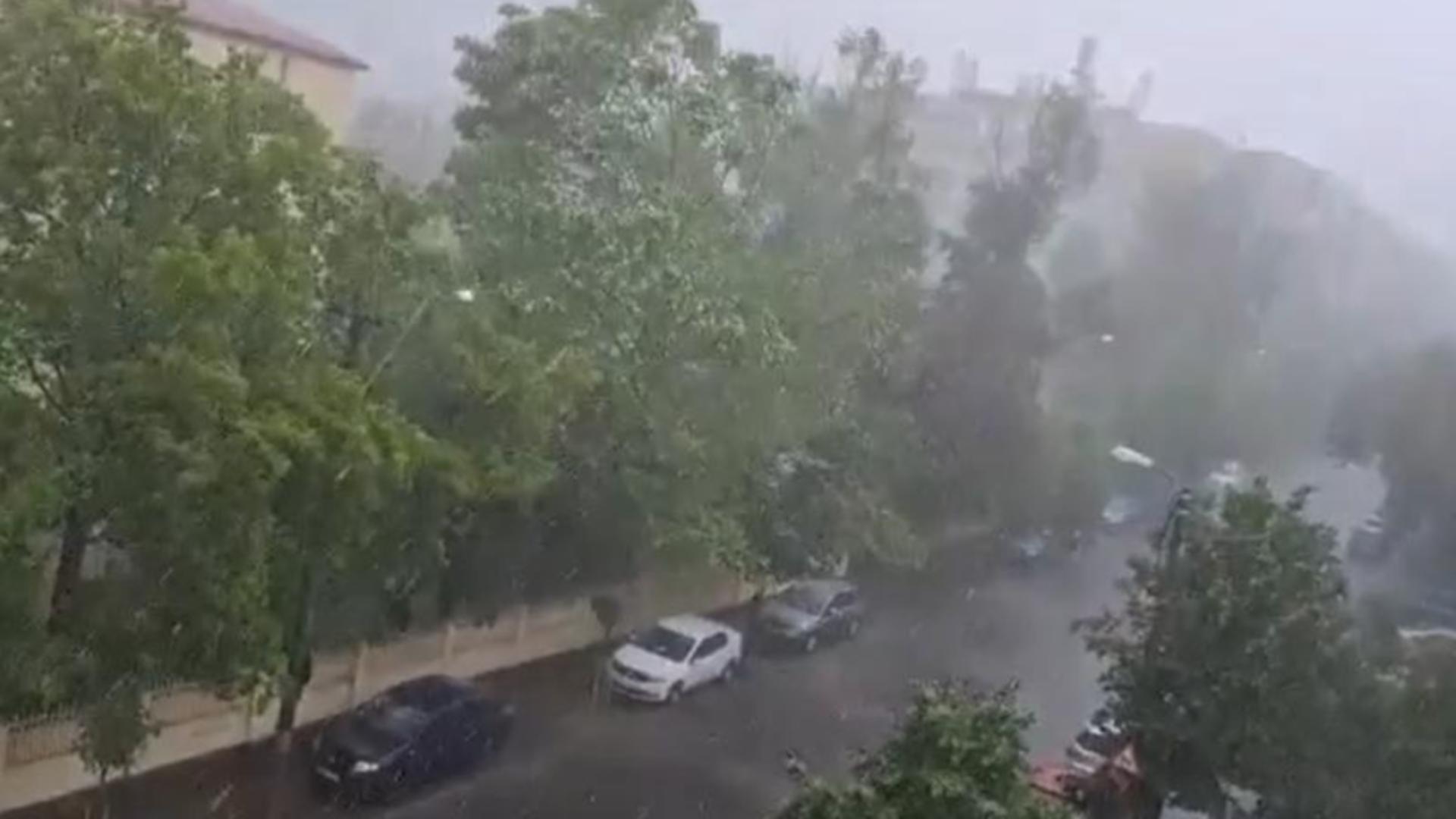 Prăpăd în București în urma fenomenelor meteo: copaci căzuți, case și stăzi INUNDATE