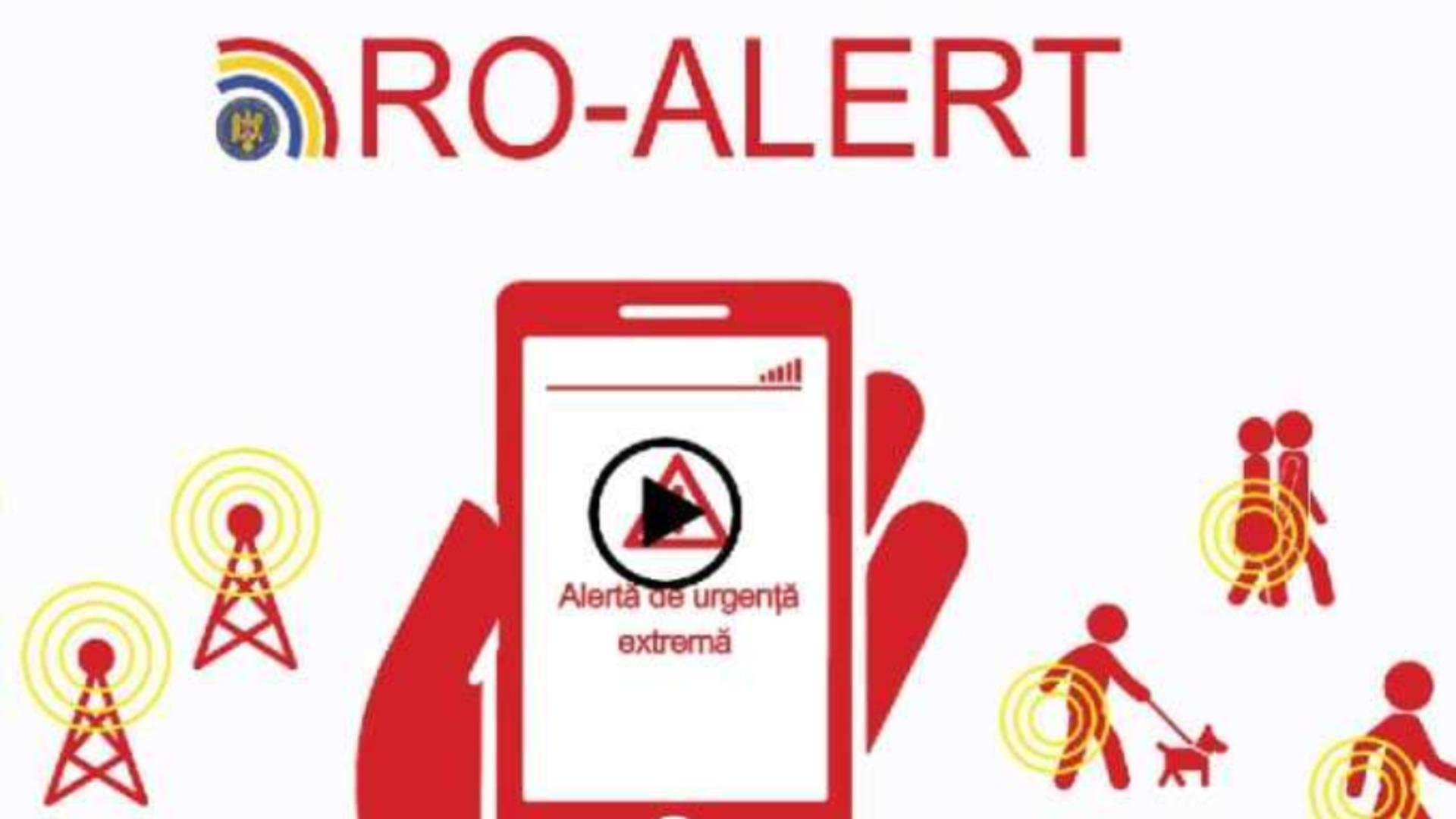 Urșii de pe Valea Prahovei pun pe jar RO-ALERT