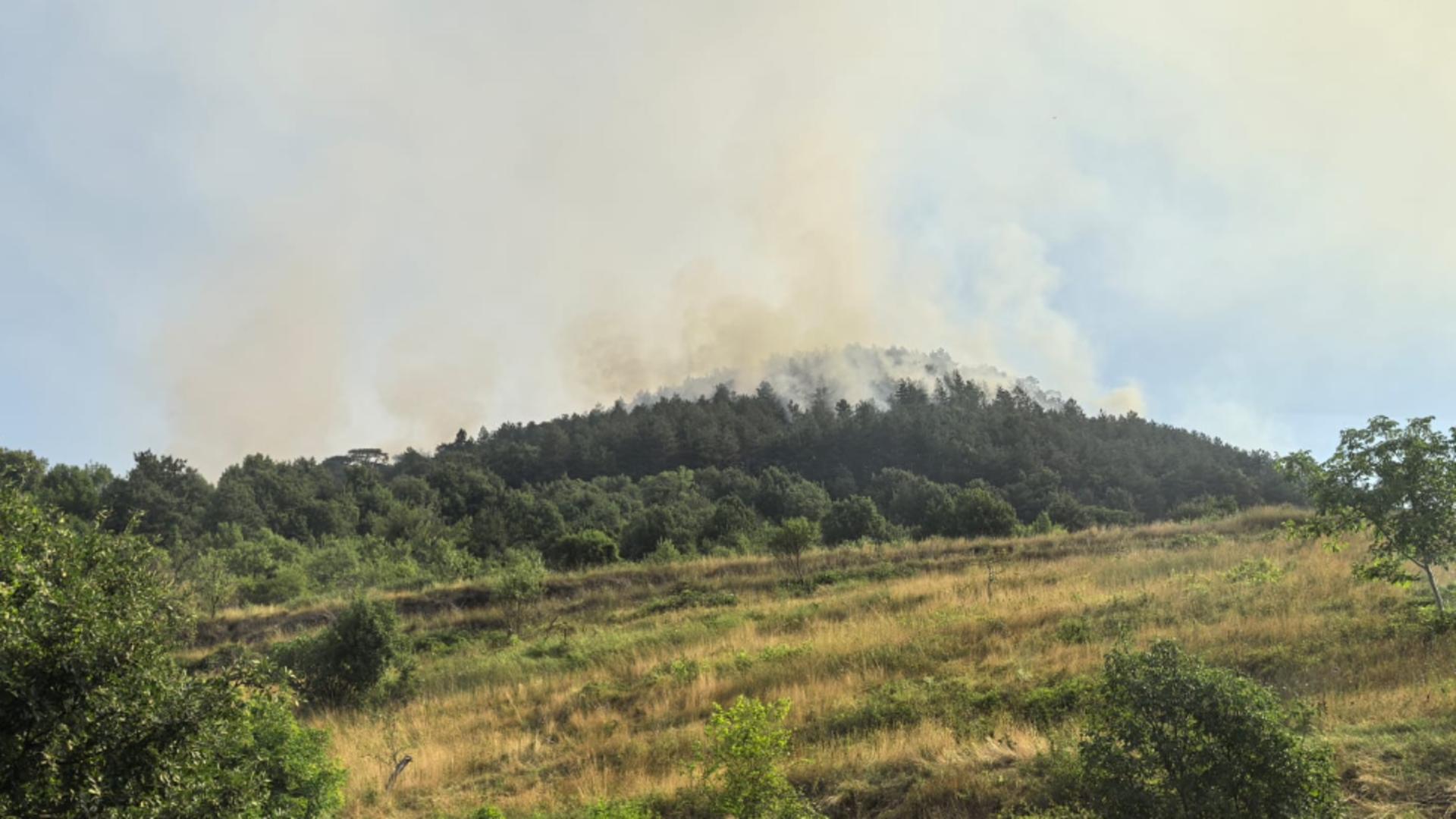 Alertă portocalie de incendiu în Parcul Natural Porțile de Fier: Sute de hectare de vegetație uscată ard de 6 zile! Mai multe case sunt amenințate - FOTO/VIDEO