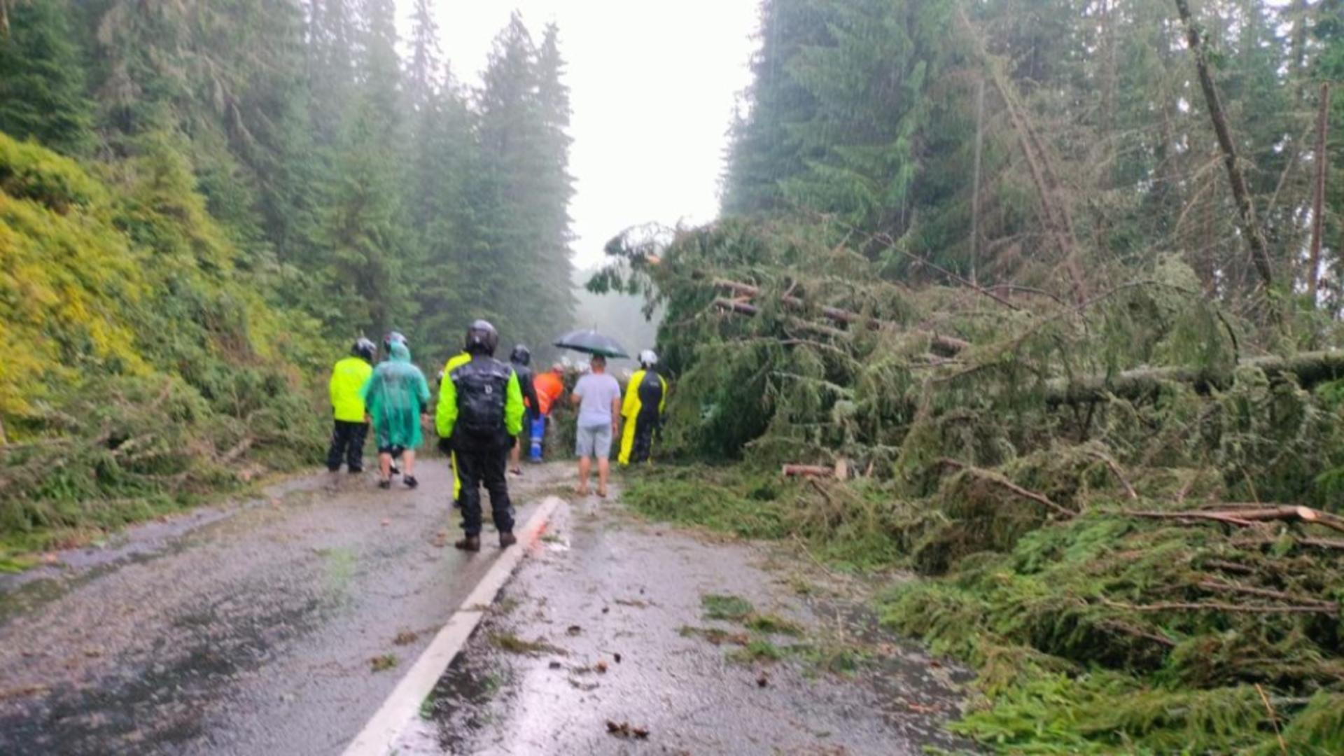 Circa 50 de autoturisme au rămas blocate, pe ambele sensiuni (foto: ISU Alba)