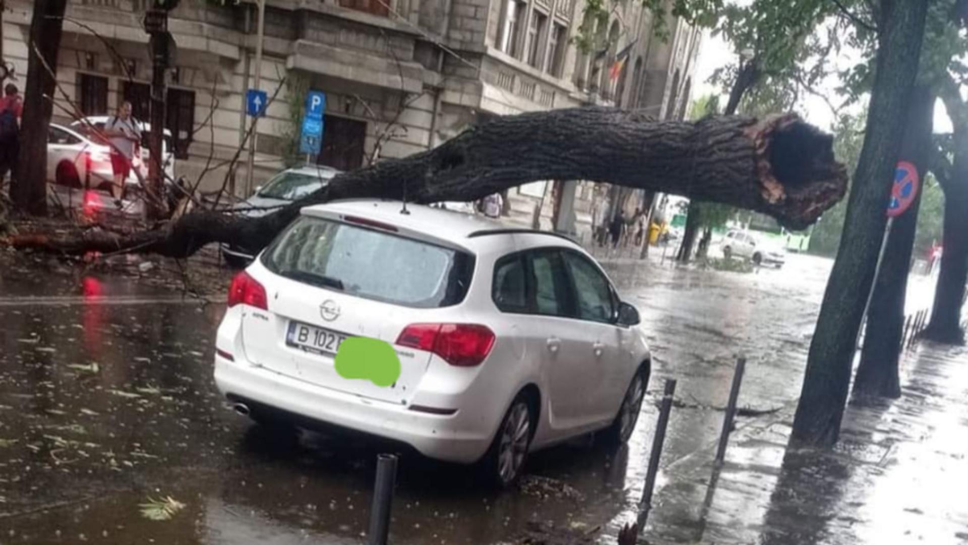 Prapad în mai multe zone din București după furtuna cu piatră! Copaci căzuți peste mașini, străzi BLOCATE