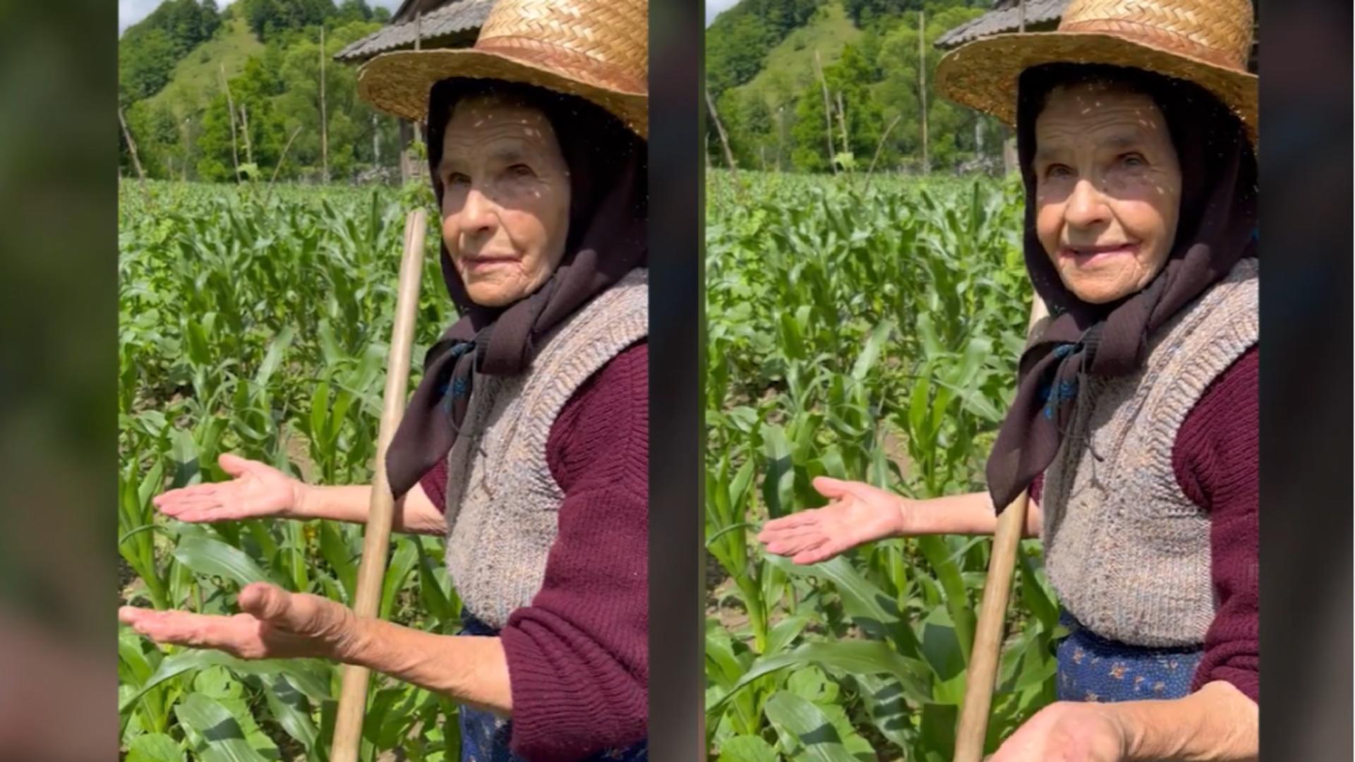 Bătrâna care își sapă singură grădina, la 82 de ani. Povestea sa a emoționat tot internetul