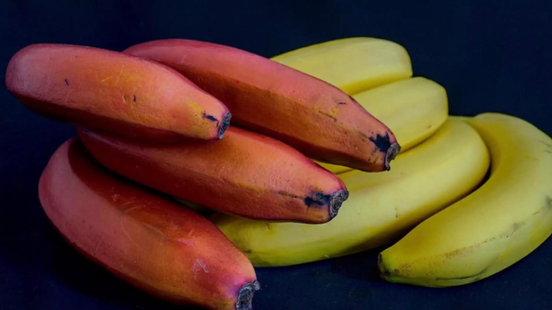 Ce sunt, de fapt, bananele roşii. Fructele bizare cu proprietăți nebănuite