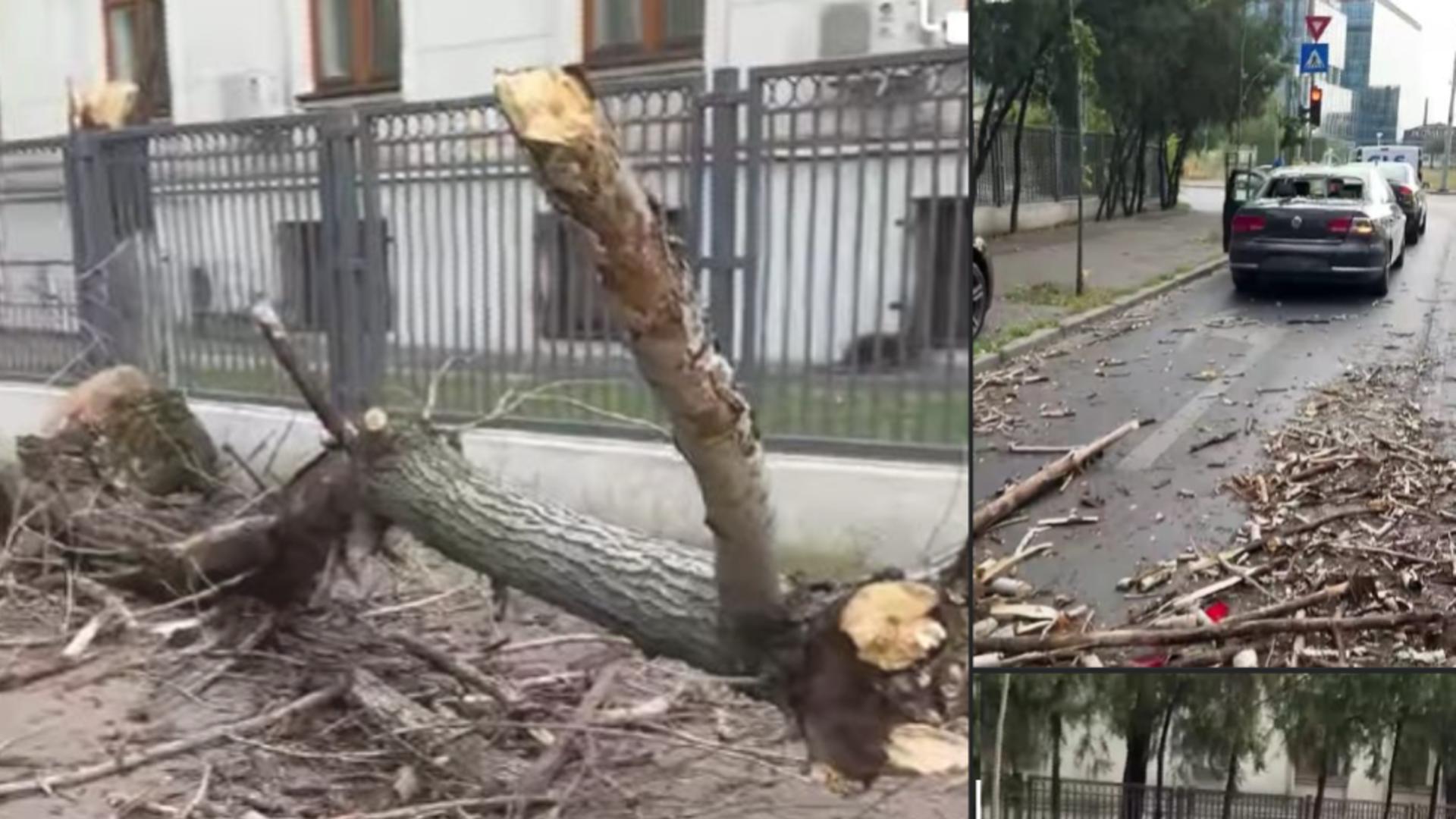 Mai multe autoturisme au fost avariate, iar unele case au fost inundate (fotocolaj)