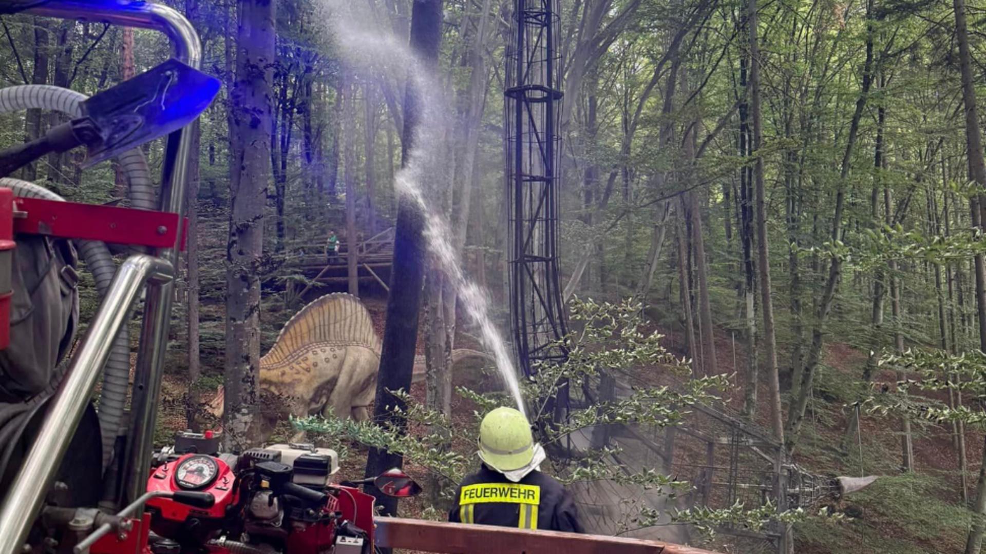 O machetă a luat foc, pompierii intervenind extrem de repede. Foto/Pompierii voluntari Râșnov