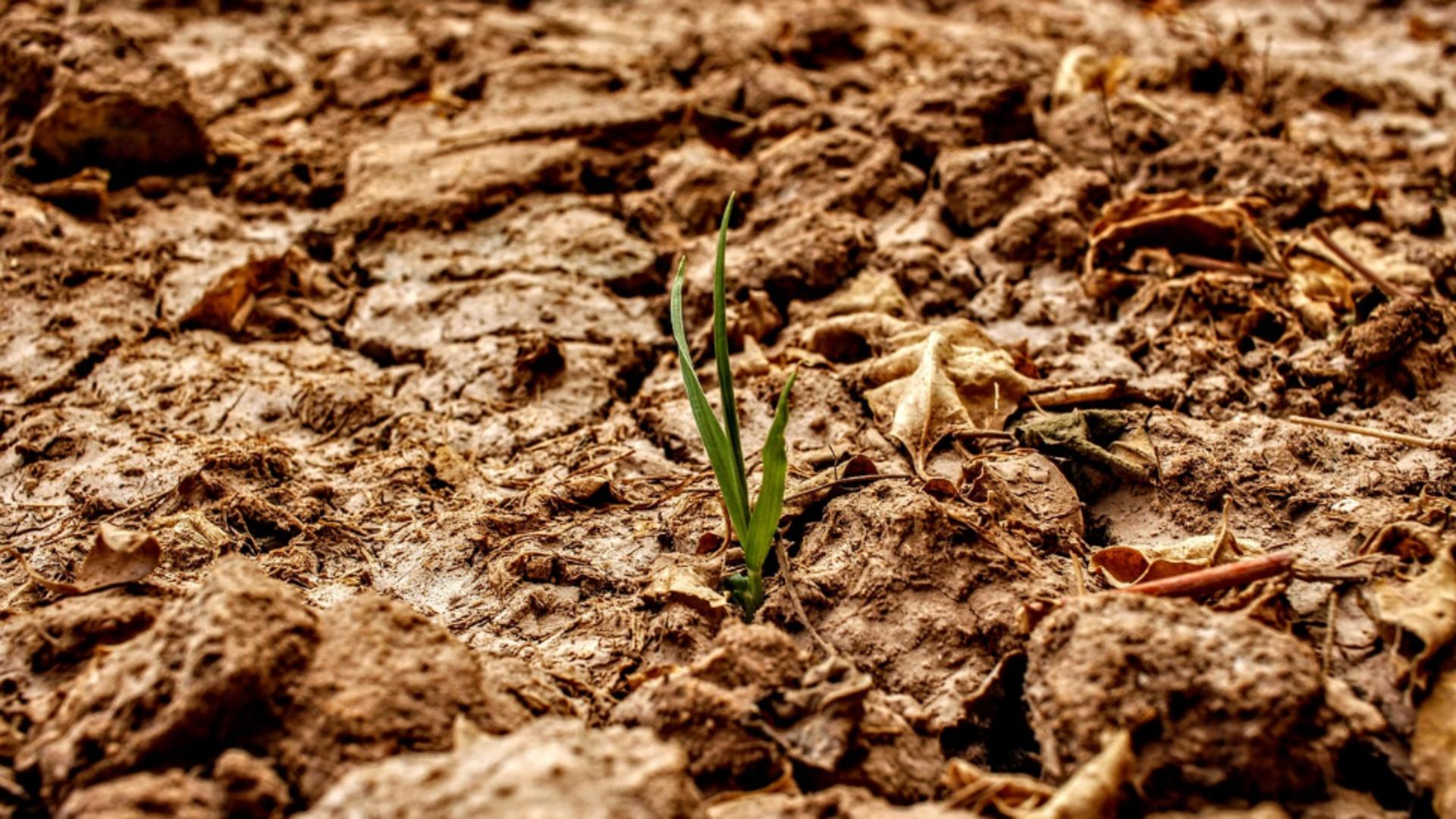 Căldură extremă în toată țara. România „se topește”: 45 de grade Celsius resimțite