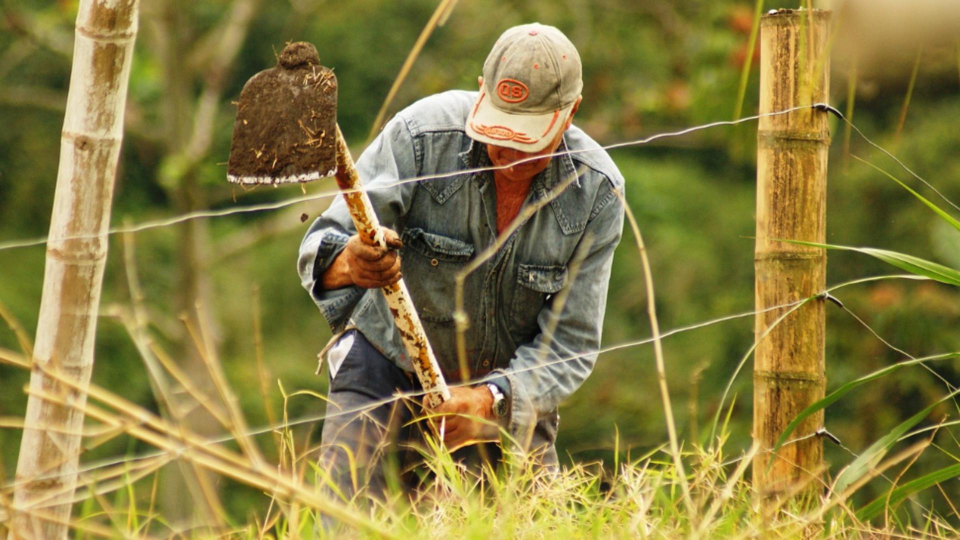 Motiv de bucurie pentru fermieri. Ministrul Agriculturii a lansat anunțul: „Vor primi în conturi în zilele următoare prima tranşă de 1500 euro”