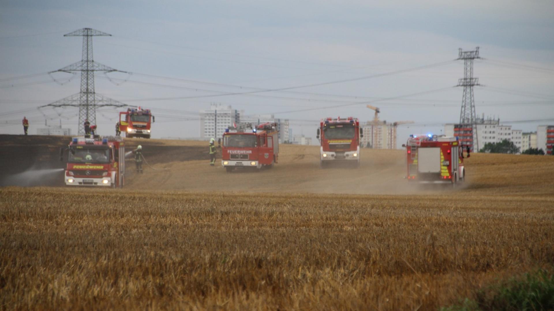 Incendiu puternic la Poarta Albă, Constanța! A fost activat PLANUL ROȘU de intervenție