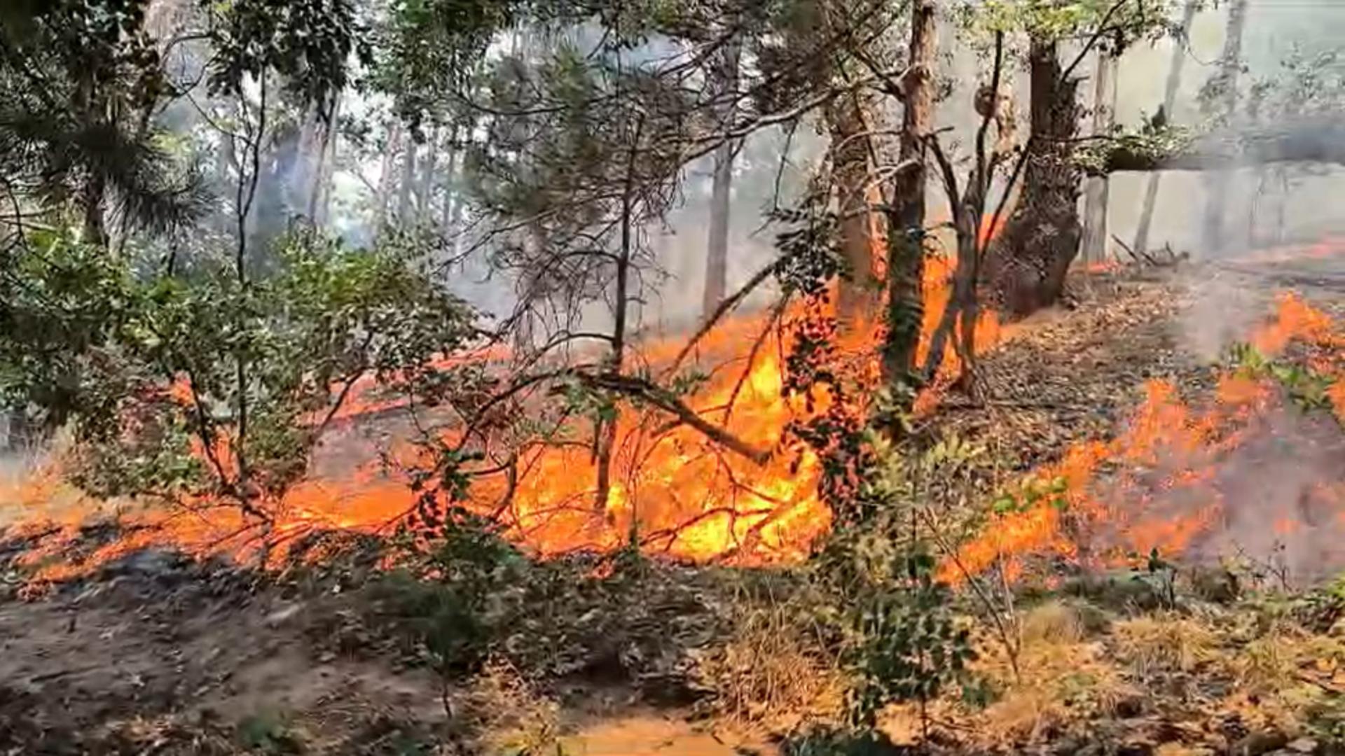 Alertă portocalie de incendiu în Parcul Natural Porțile de Fier: Sute de hectare de vegetație uscată ard de 6 zile! Mai multe case sunt amenințate - FOTO/VIDEO