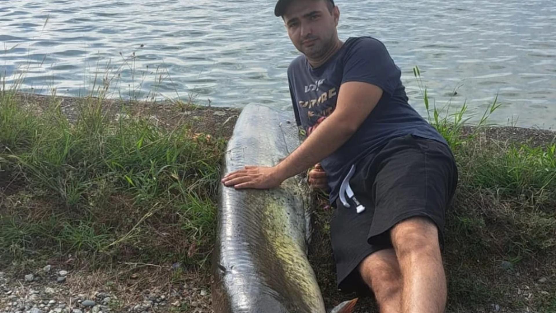 „Monstrul” ascuns în lacurile din România. Pescarul Dan a prins peștele de peste 60 de kilograme