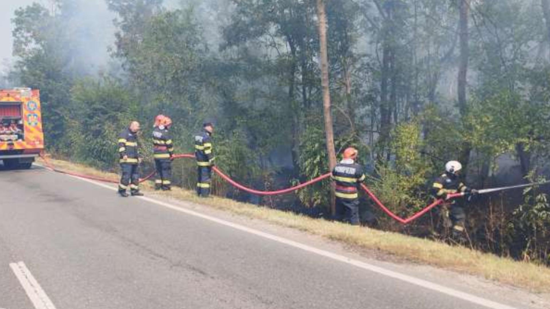 Incendiu în Pădurea Stejarul, Brăila