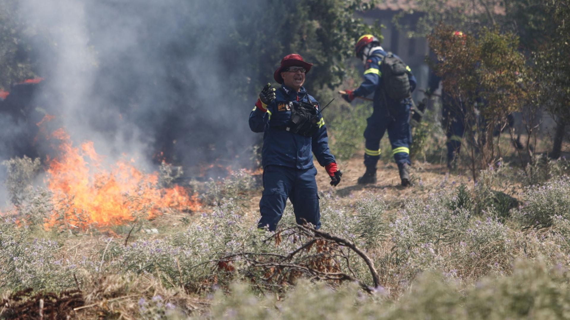 Risc ridicat de INCENDII, în Grecia! Zeci de focare în mai multe zone ale țării/Profimedia