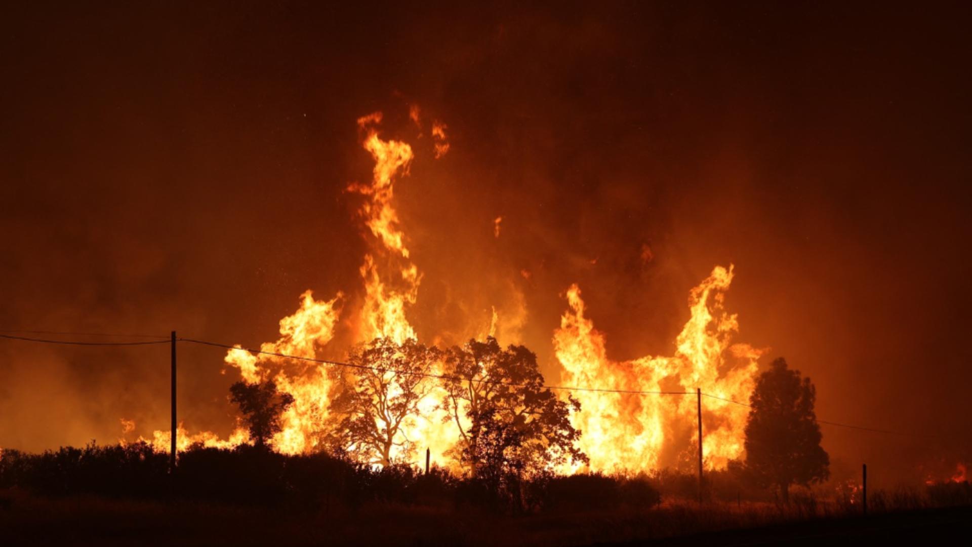 Incendiu într-o stațiune de la munte. Ard 3 ha de pădure. Foto/Profimedia/Arhivă